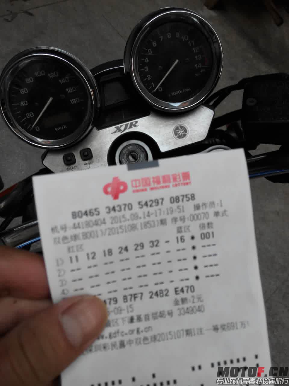 513150170431680147.jpg