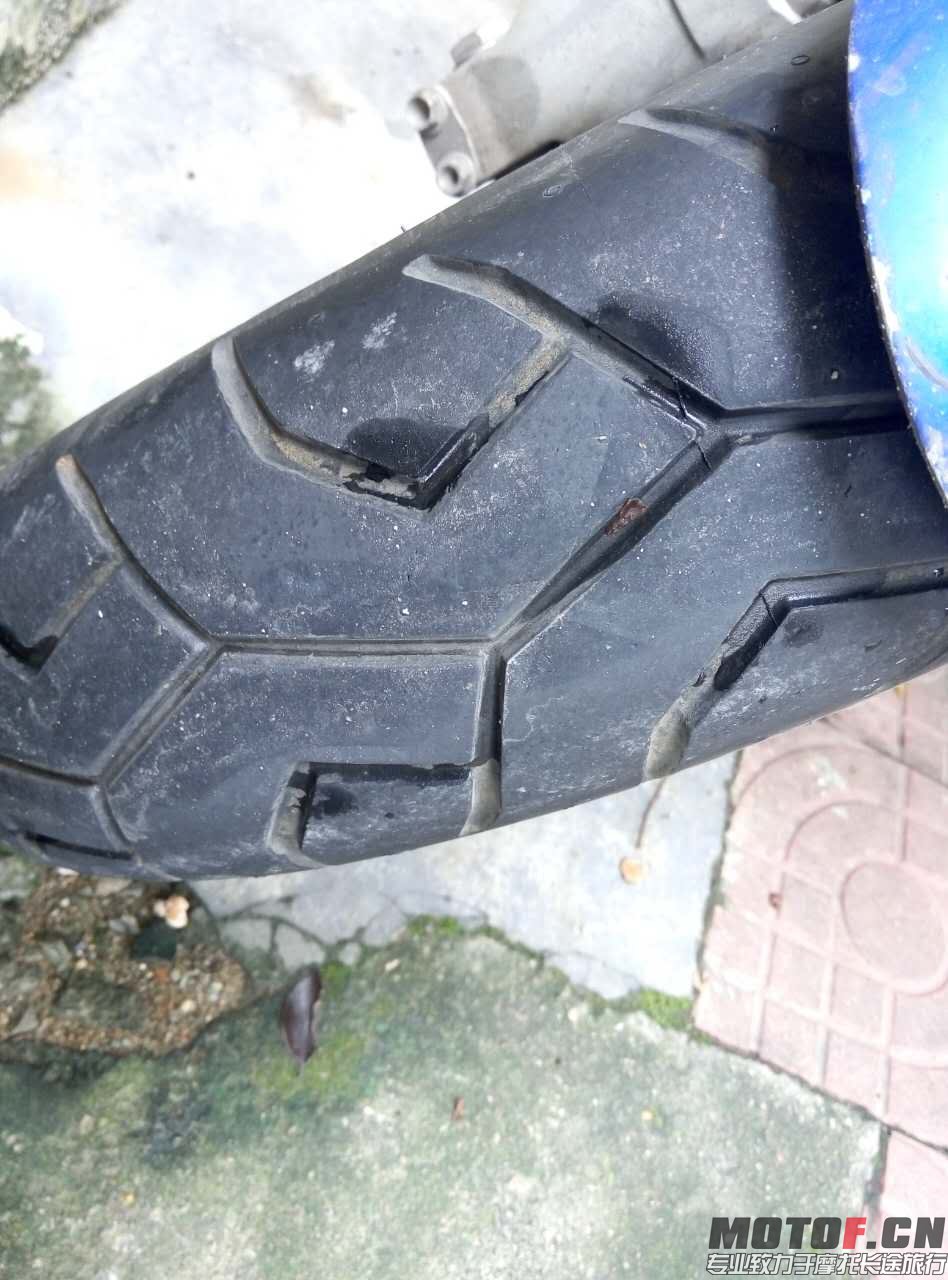 475095796521799799.jpg