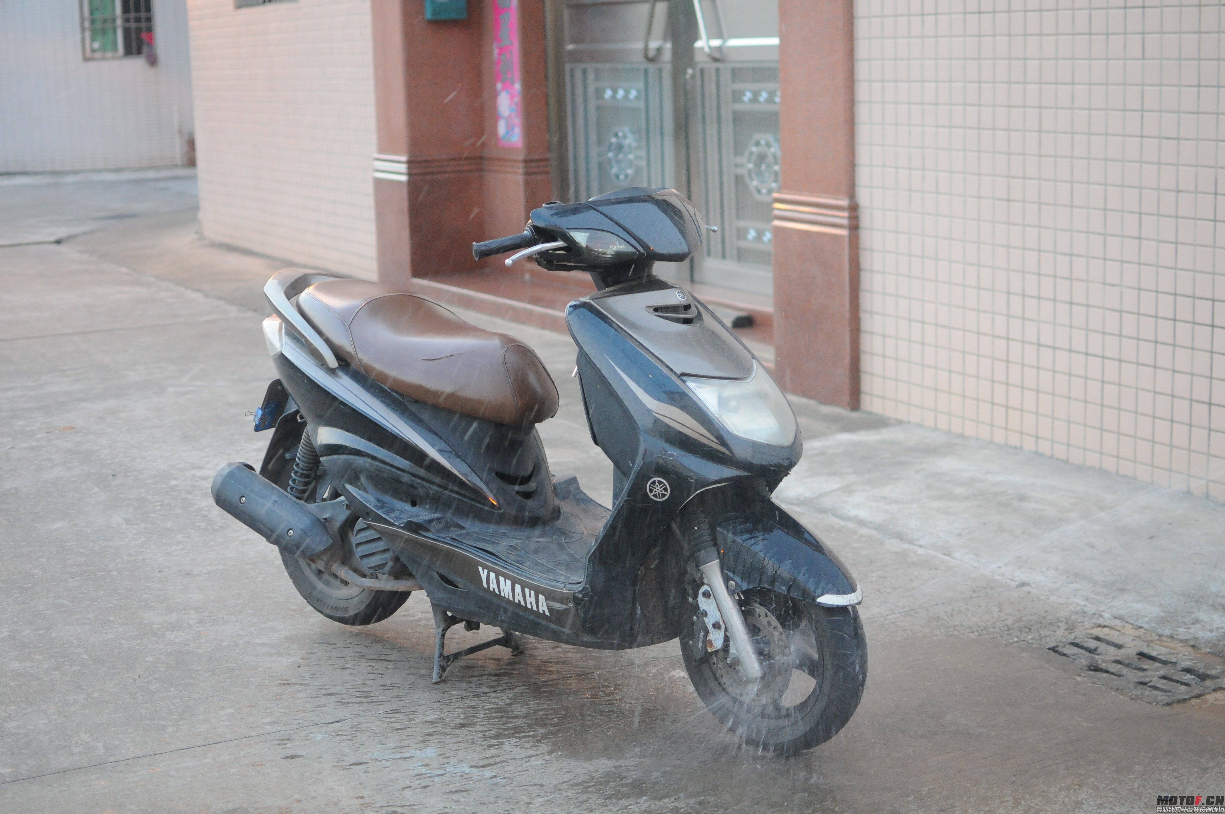 DSC_5324.jpg