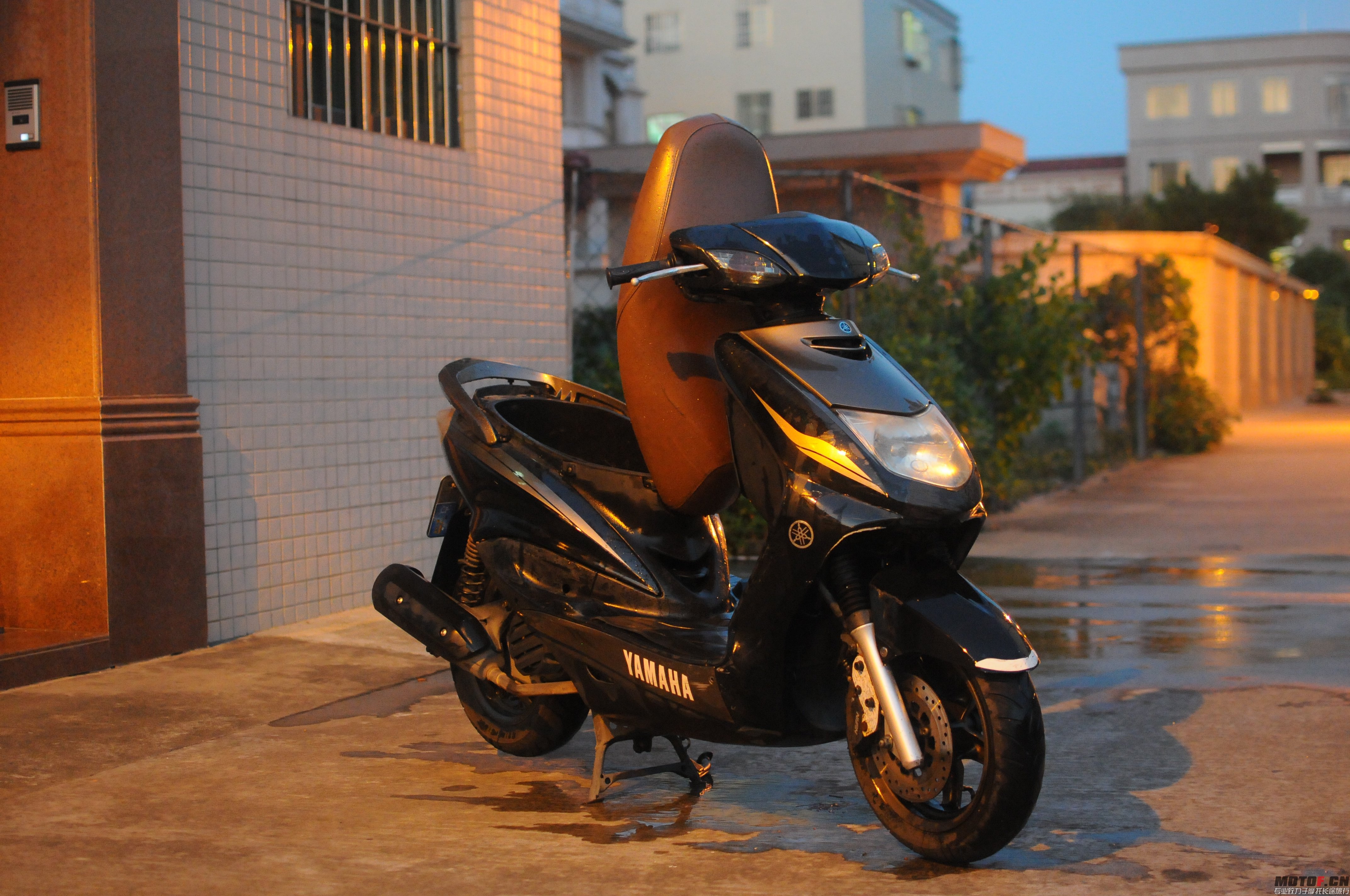 DSC_5339.jpg