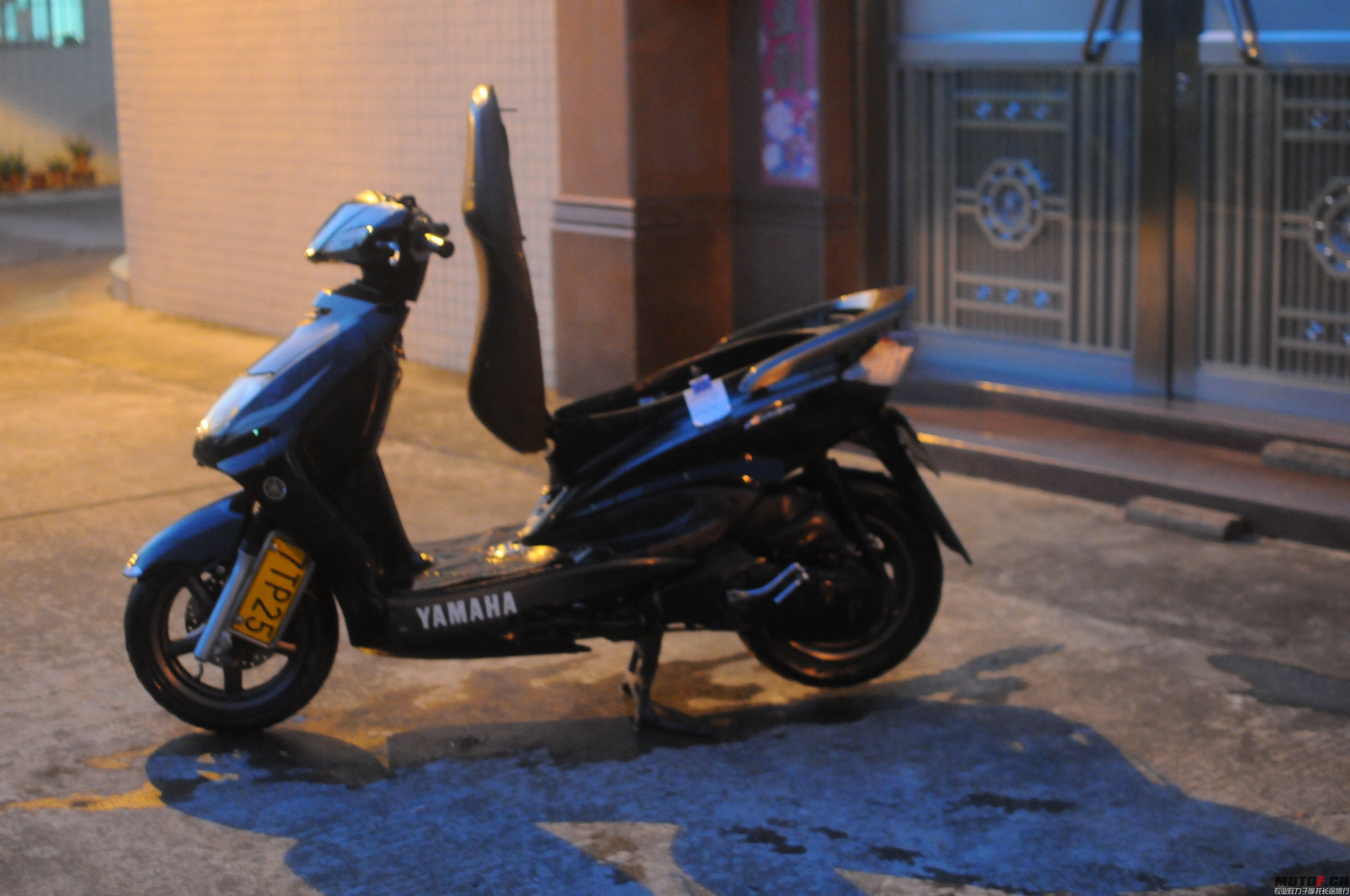 DSC_5341.jpg