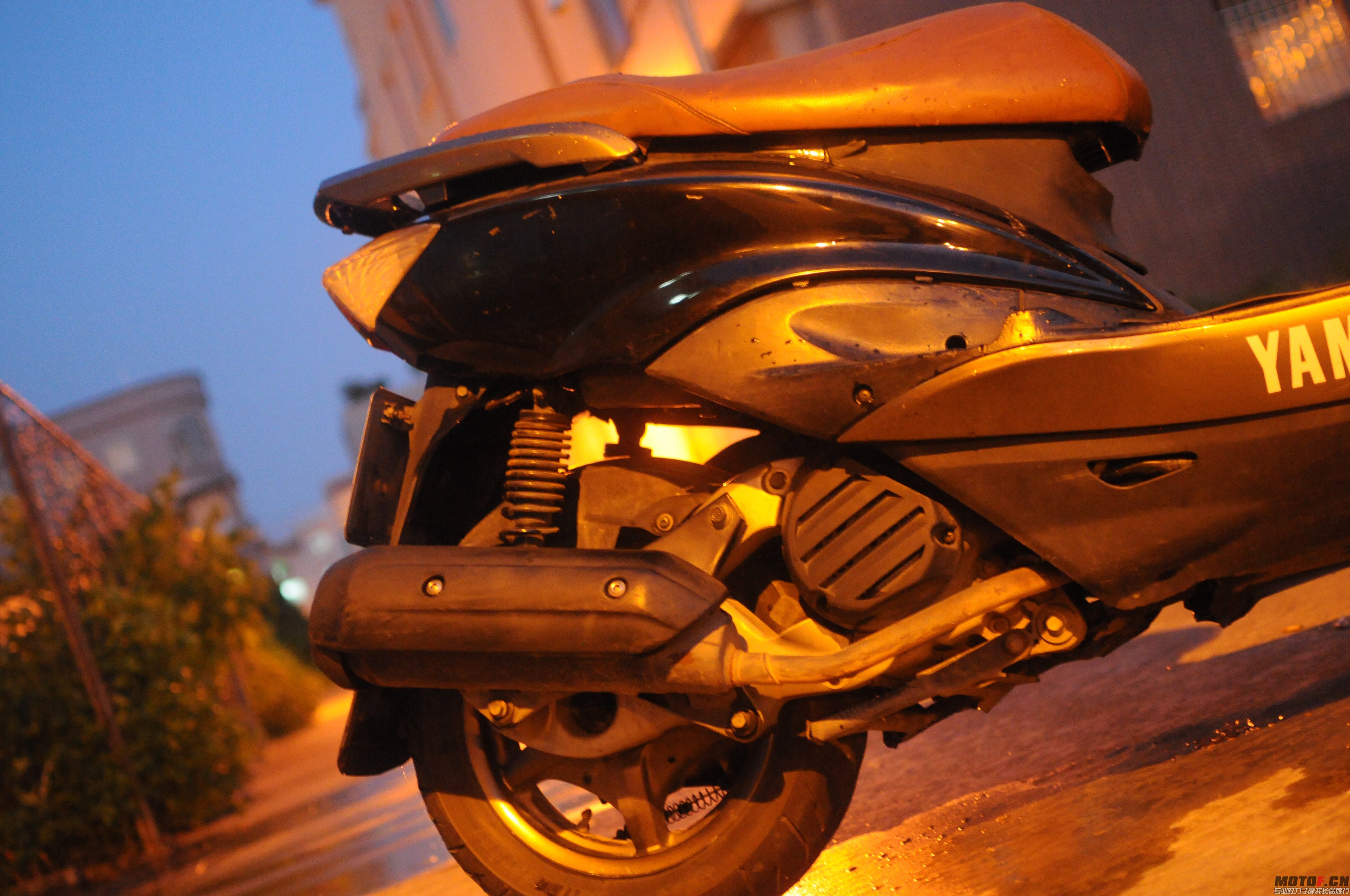DSC_5359.jpg