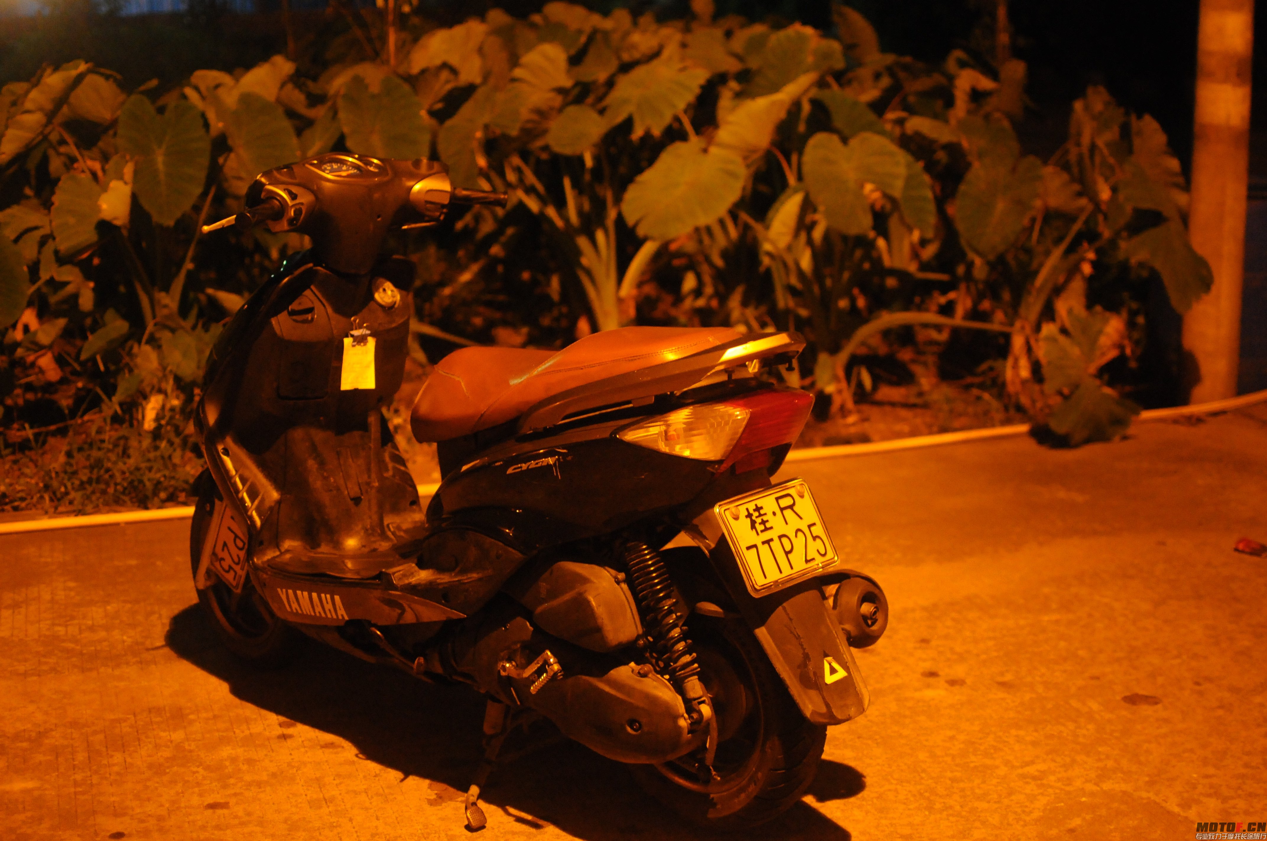 DSC_5373.jpg