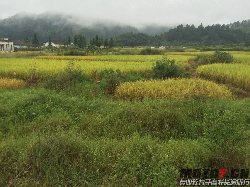QQ图片20150928102415.jpg
