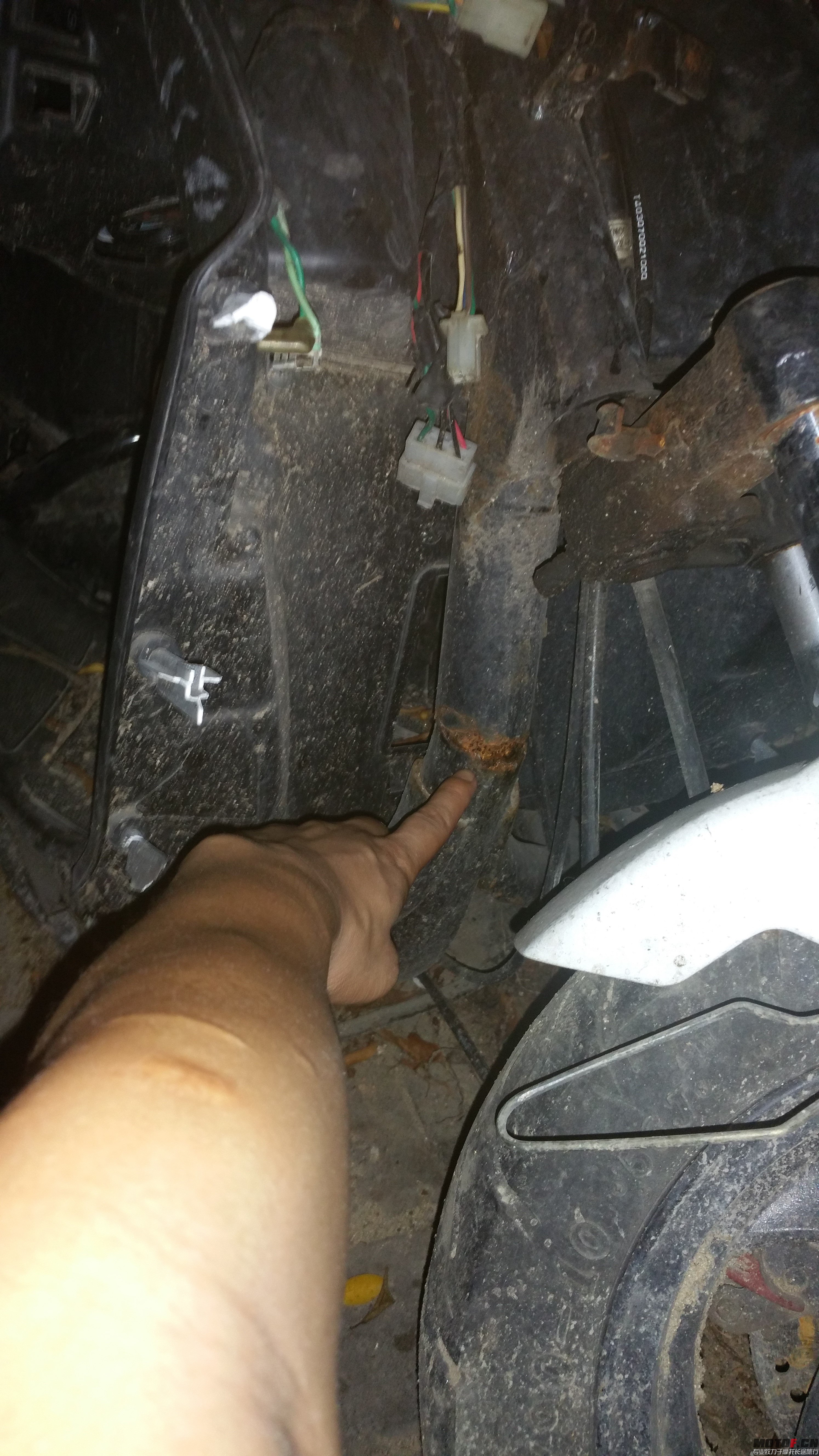 20151002_190914.jpg