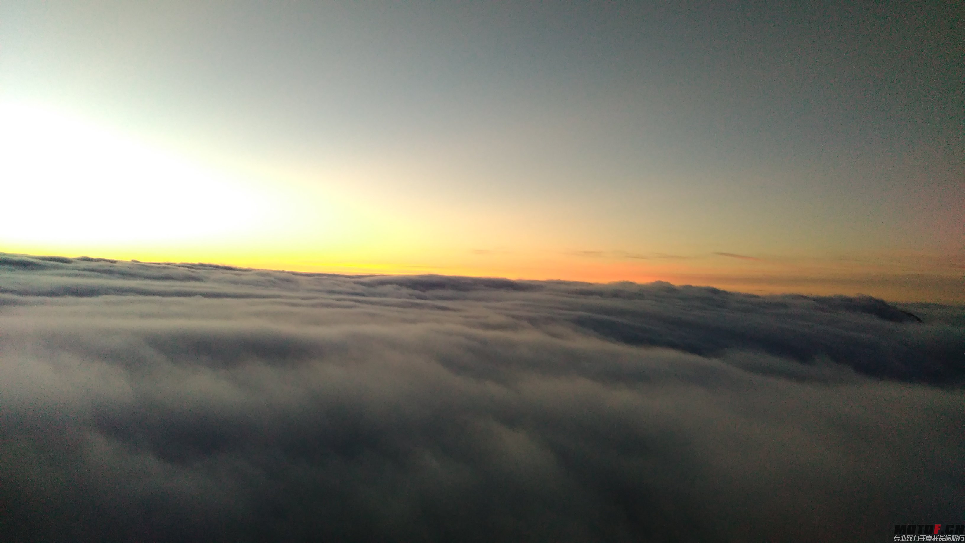 IMG_20151002_060345.jpg