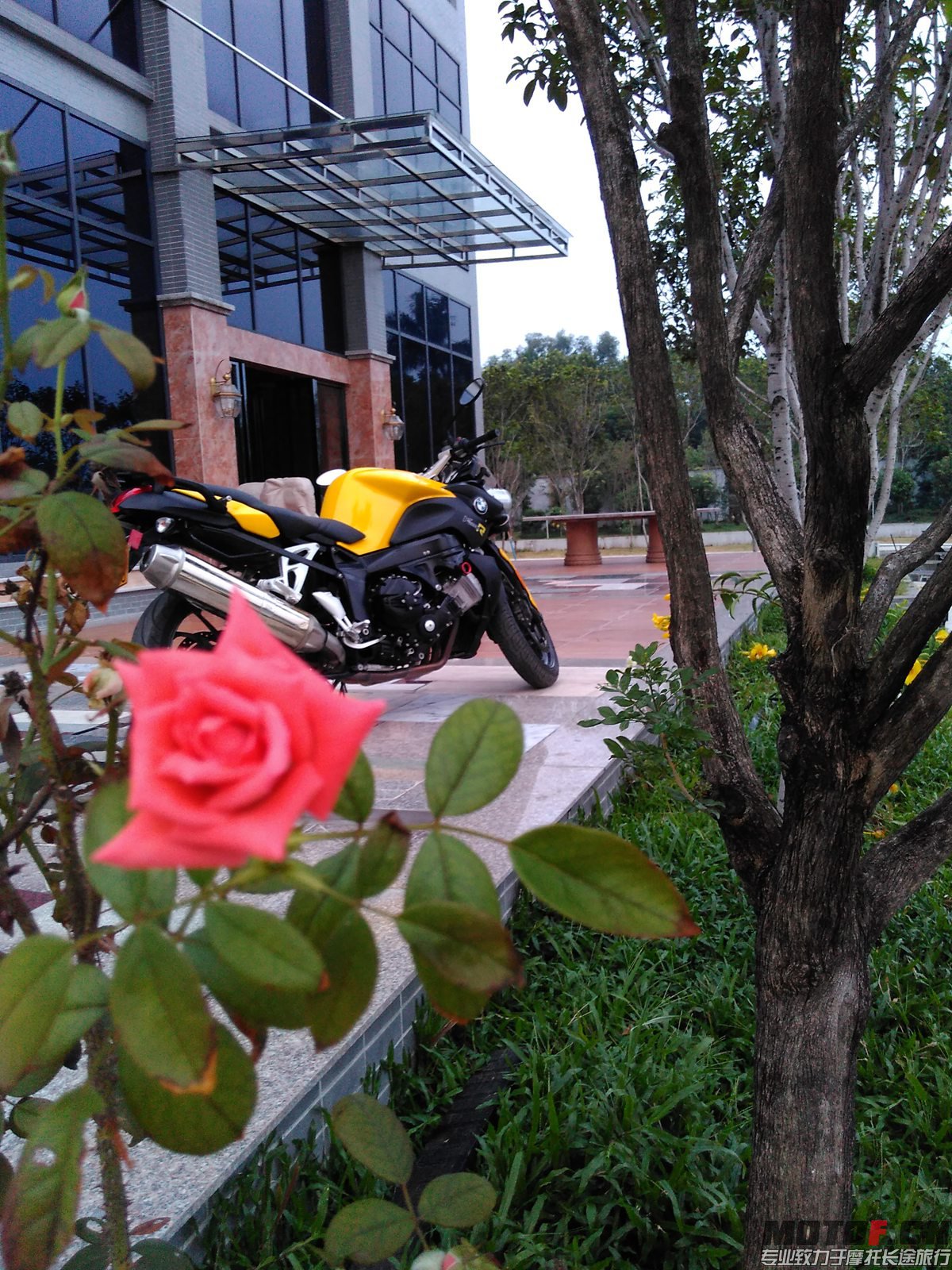 IMG_20150930_180619.jpg