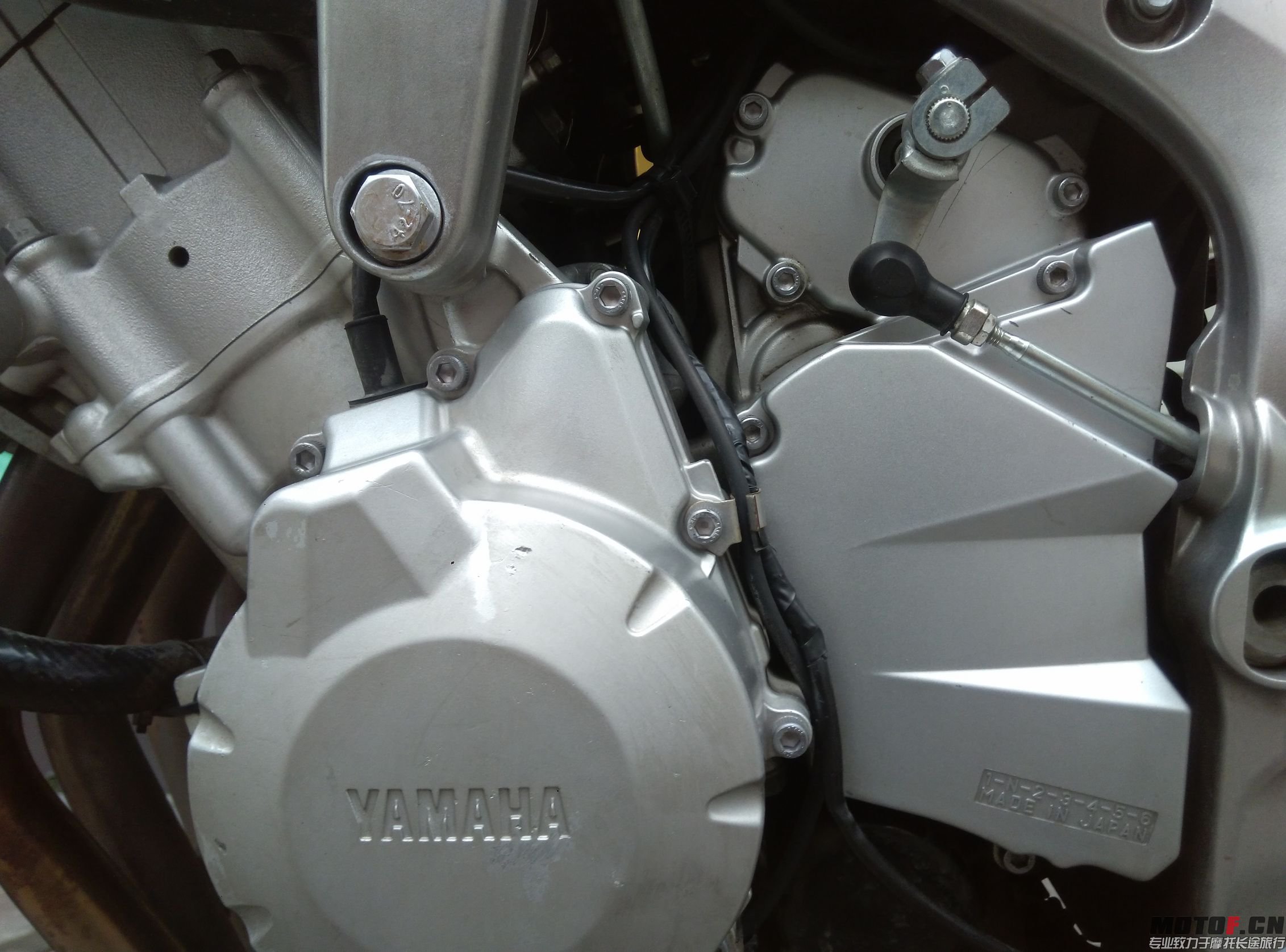 P51009-172738.jpg