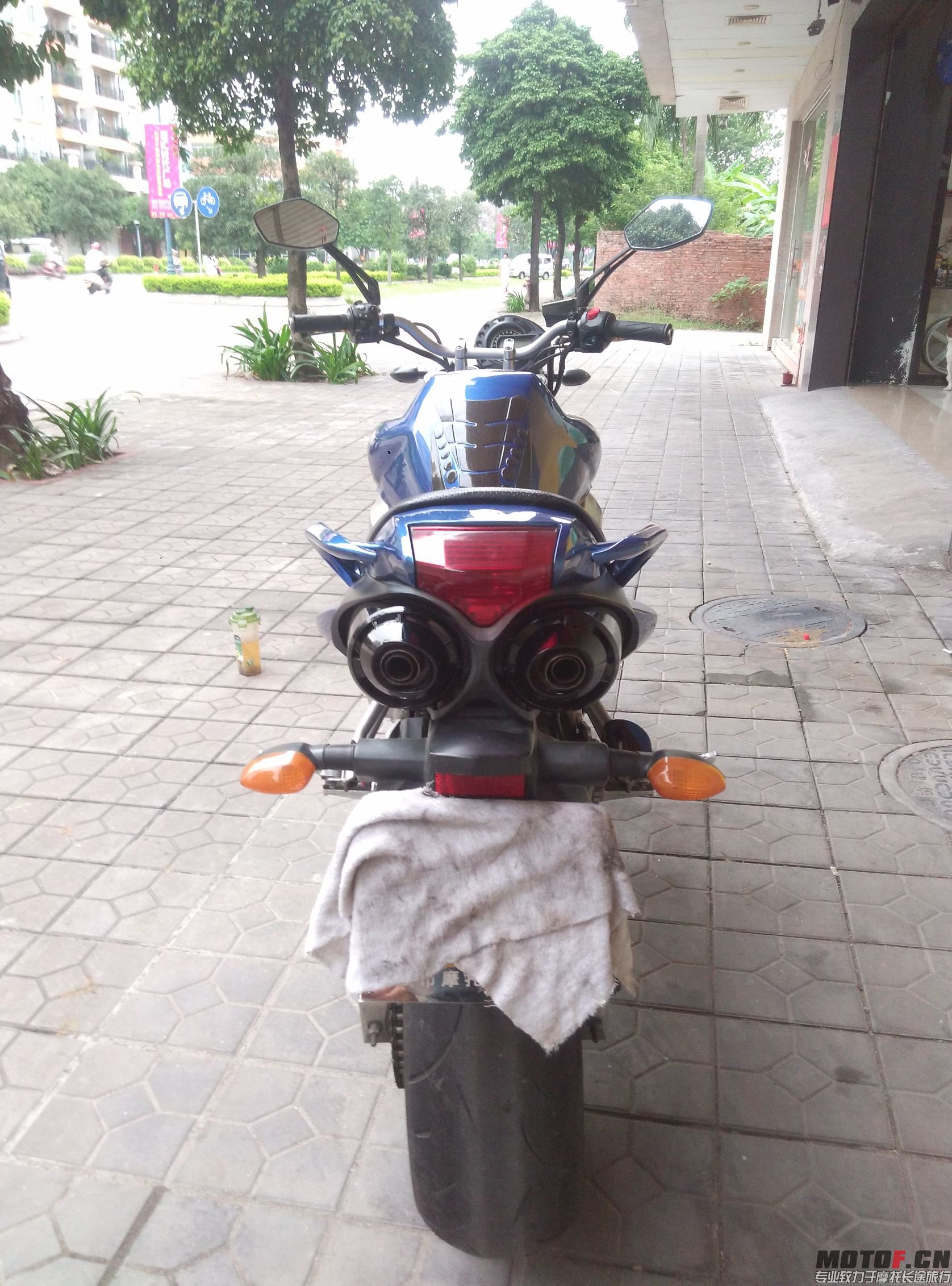 P51009-173140.jpg