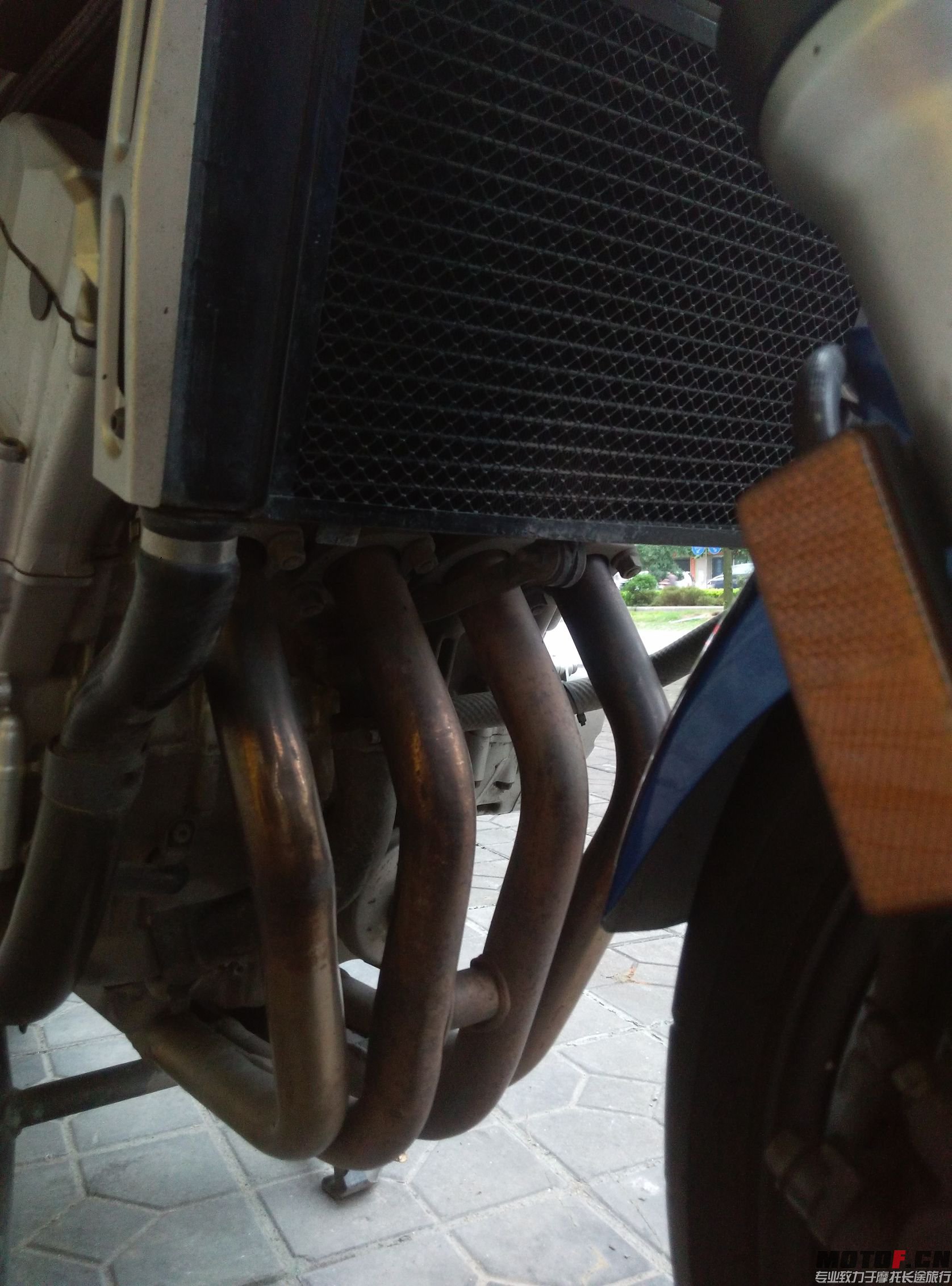 P51009-173359.jpg