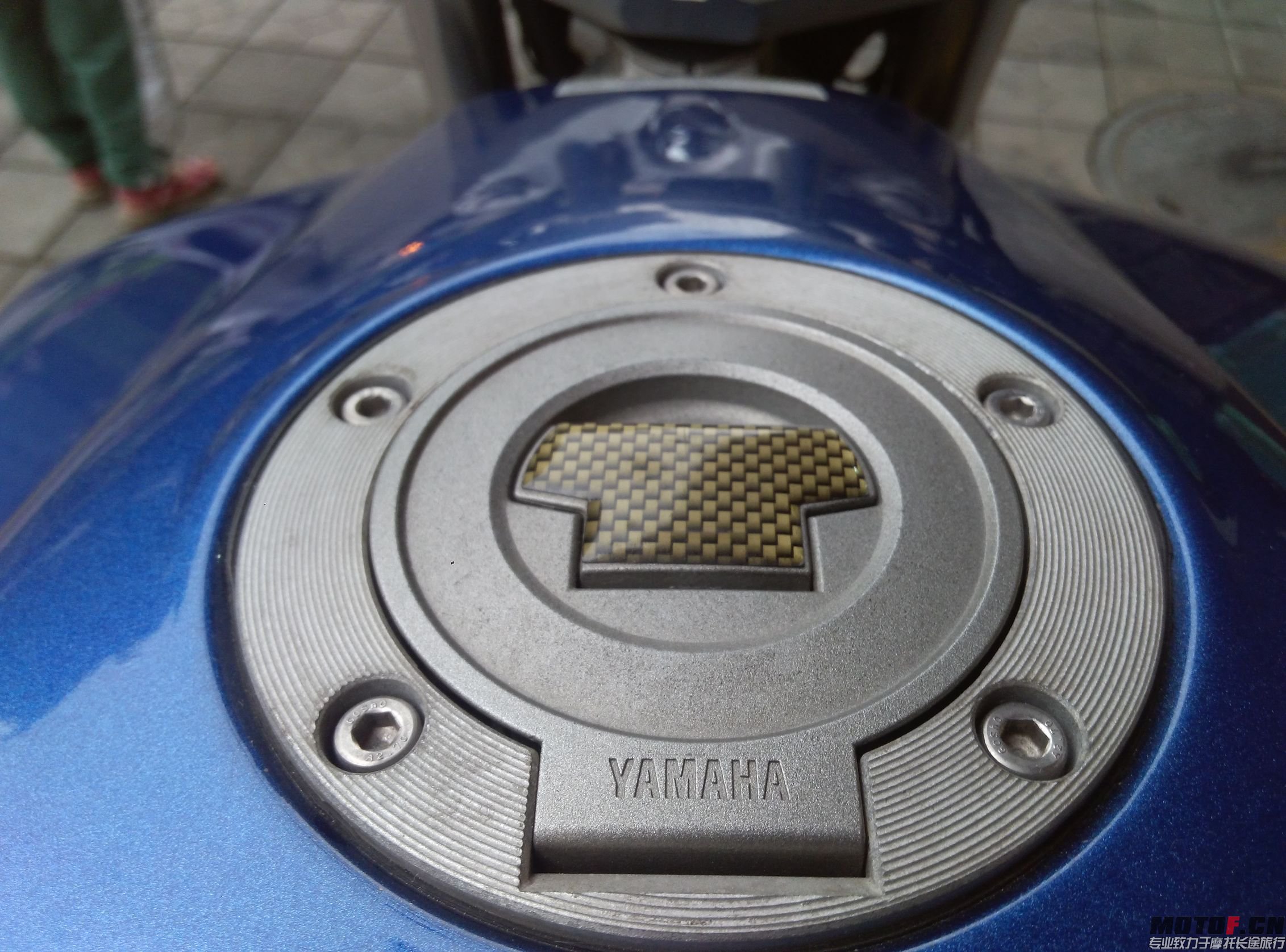 P51009-173549.jpg