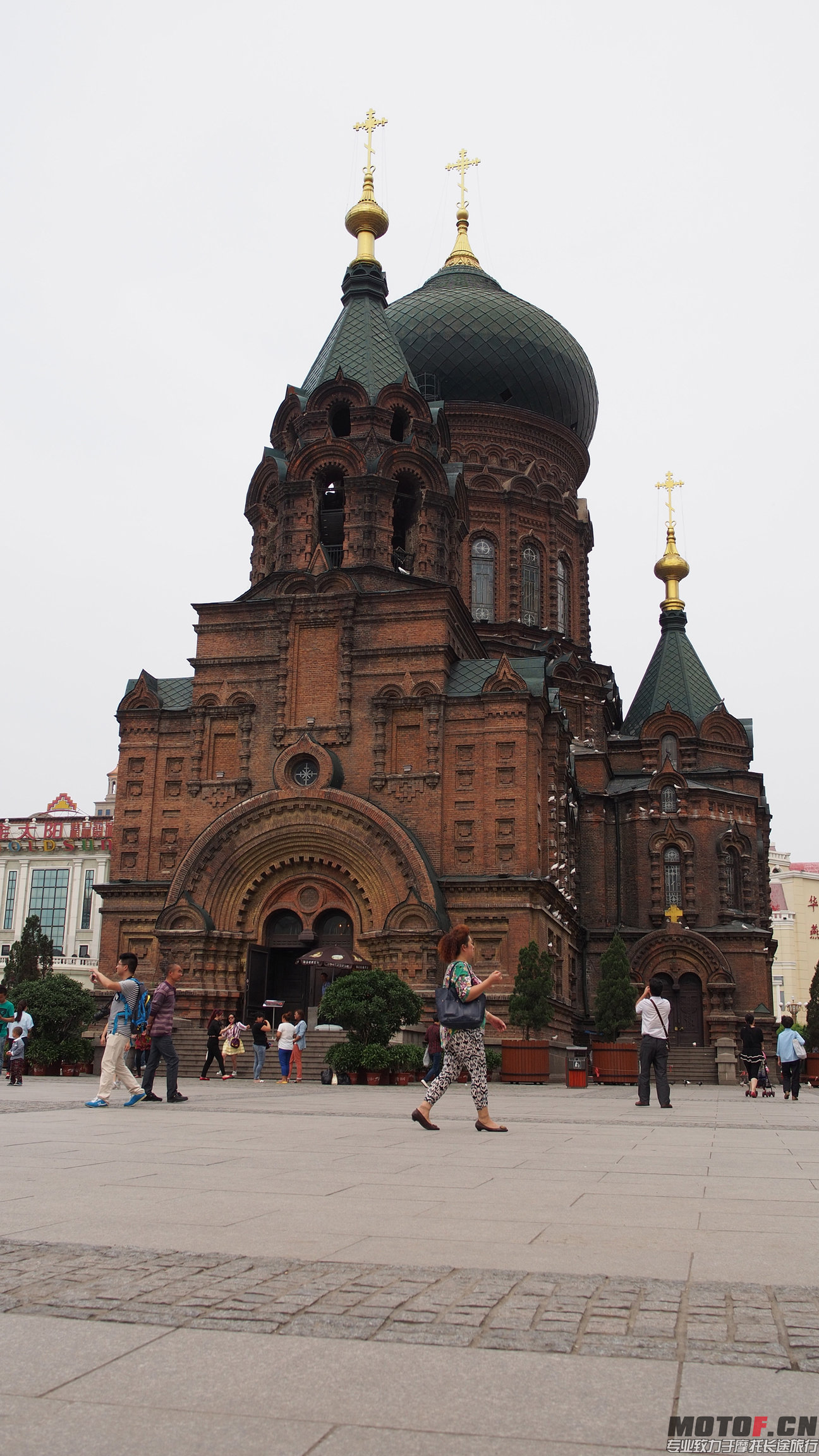 P6110031.JPG