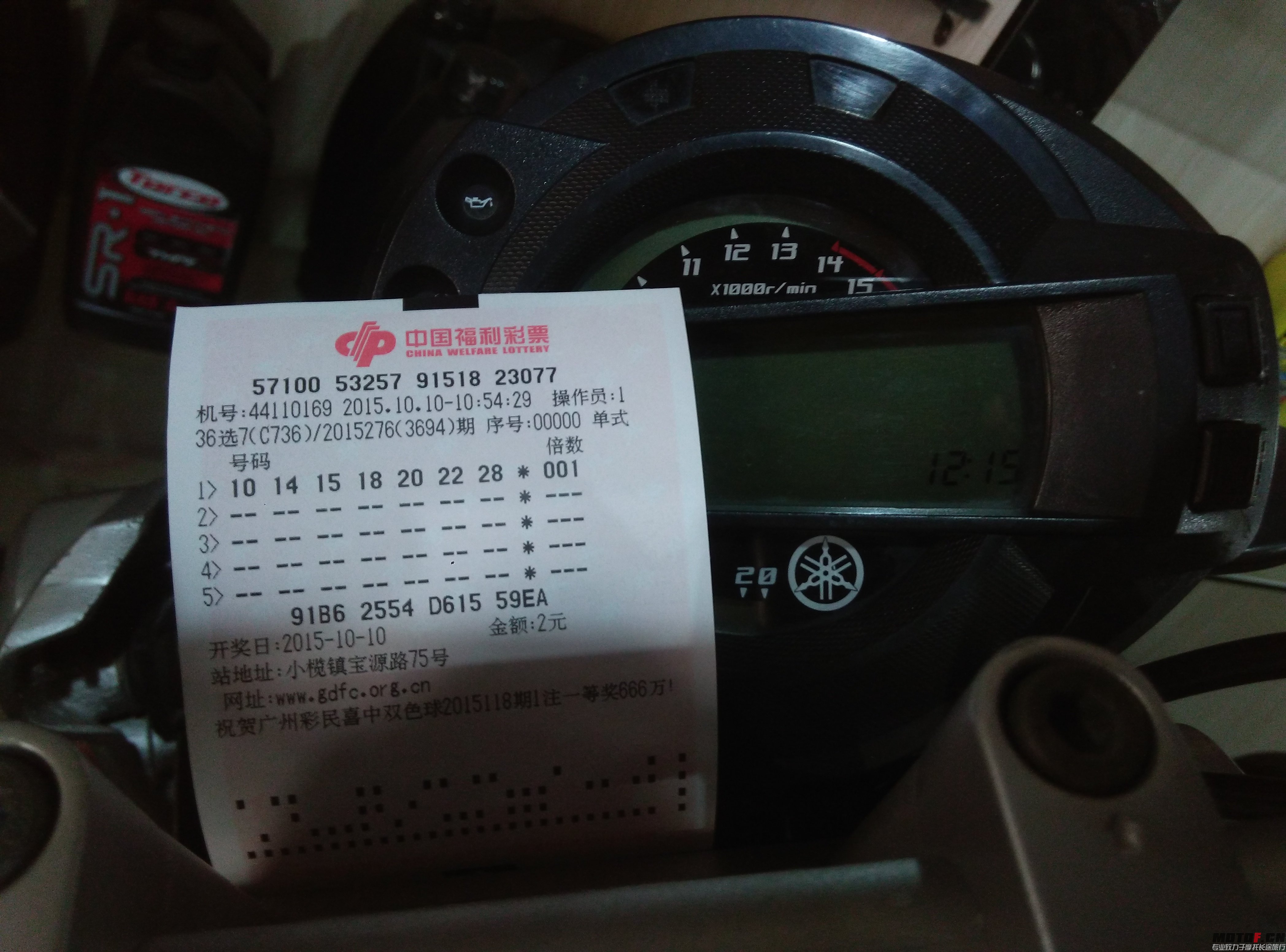P51010-105830[1].jpg