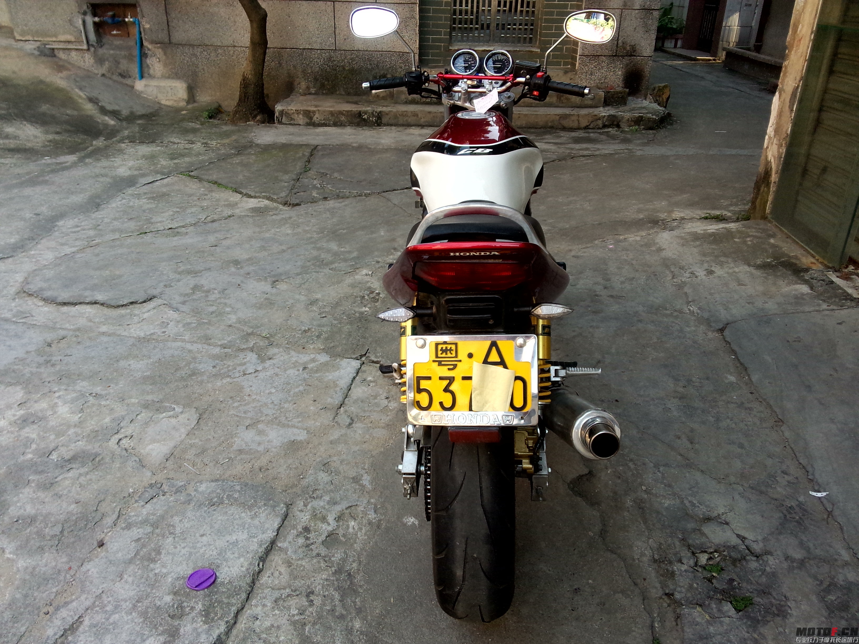 P51014-151057.jpg