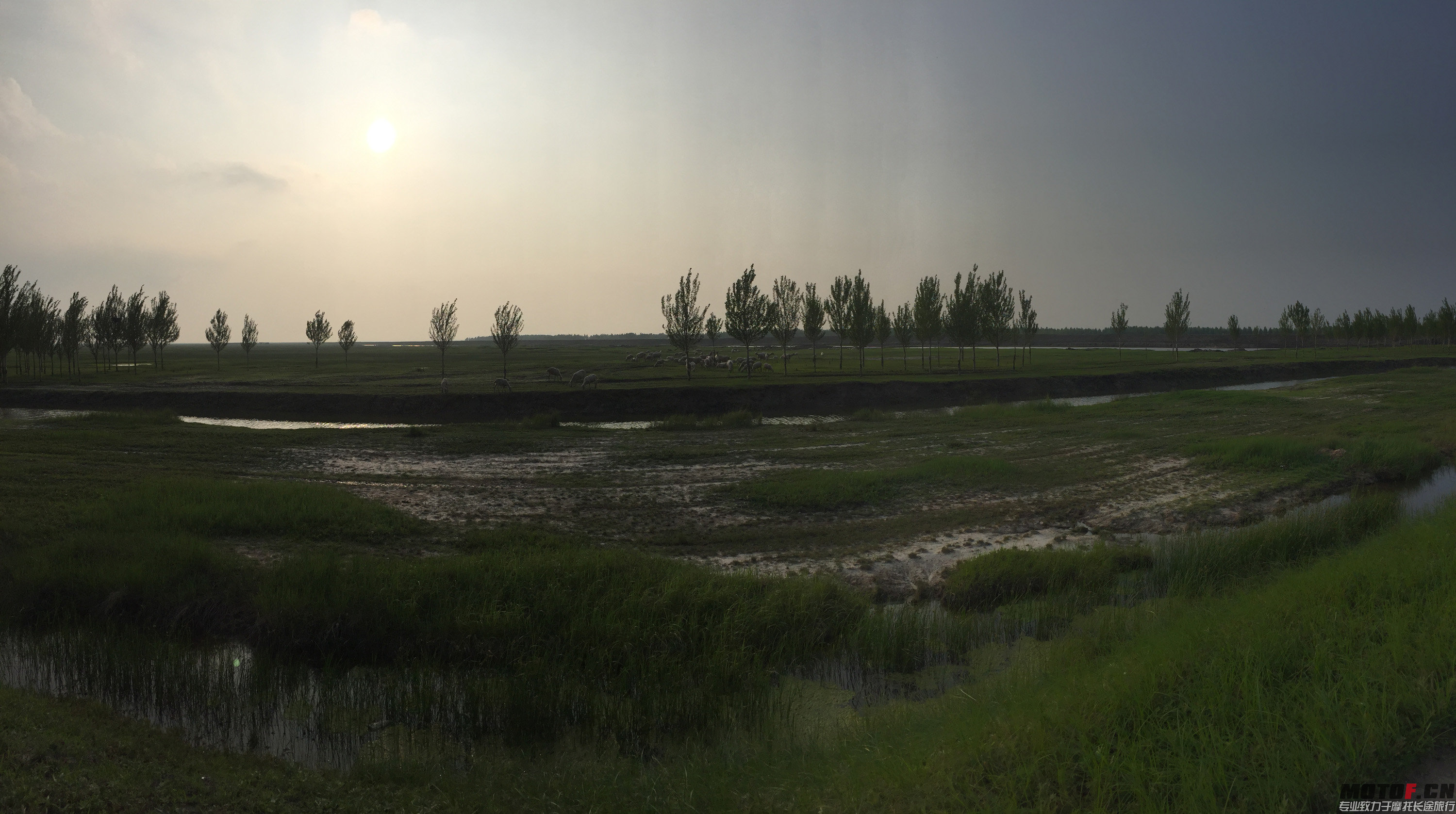 IMG_6966.jpg