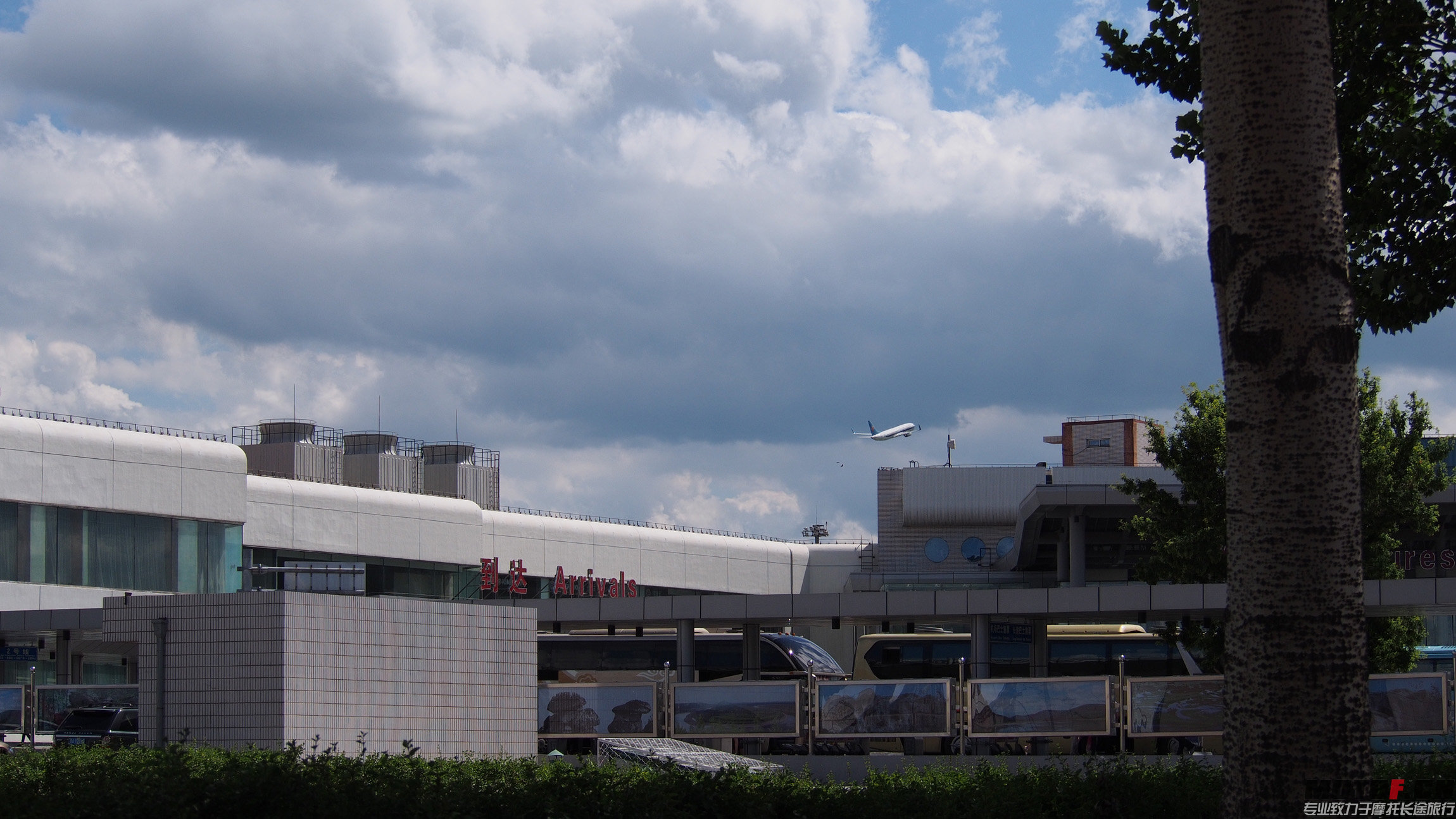 P6290742.jpg