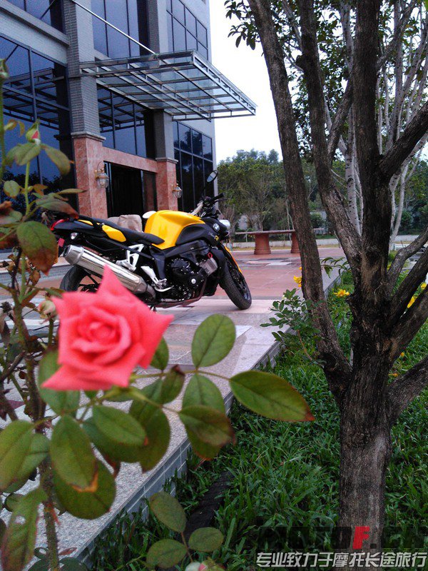 IMG_20150930_180619.jpg