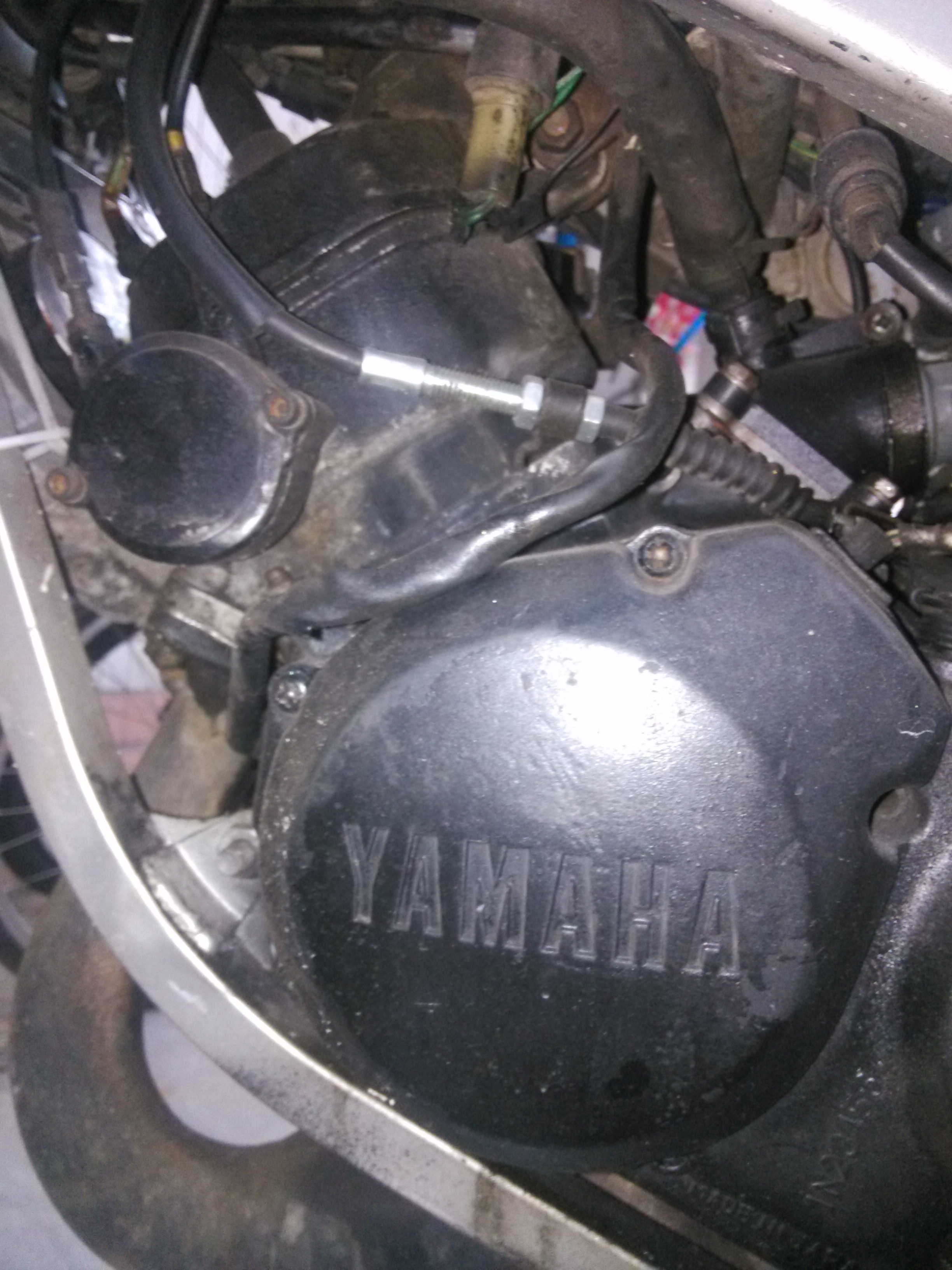 tzrIMG_20151017_173534.jpg