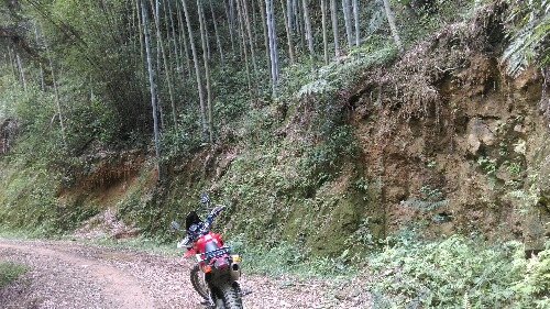 IMAG0010.jpg