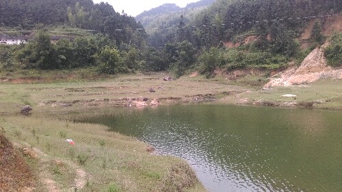 IMAG0014.jpg