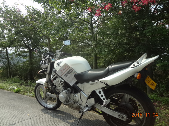 DSC05331.JPG