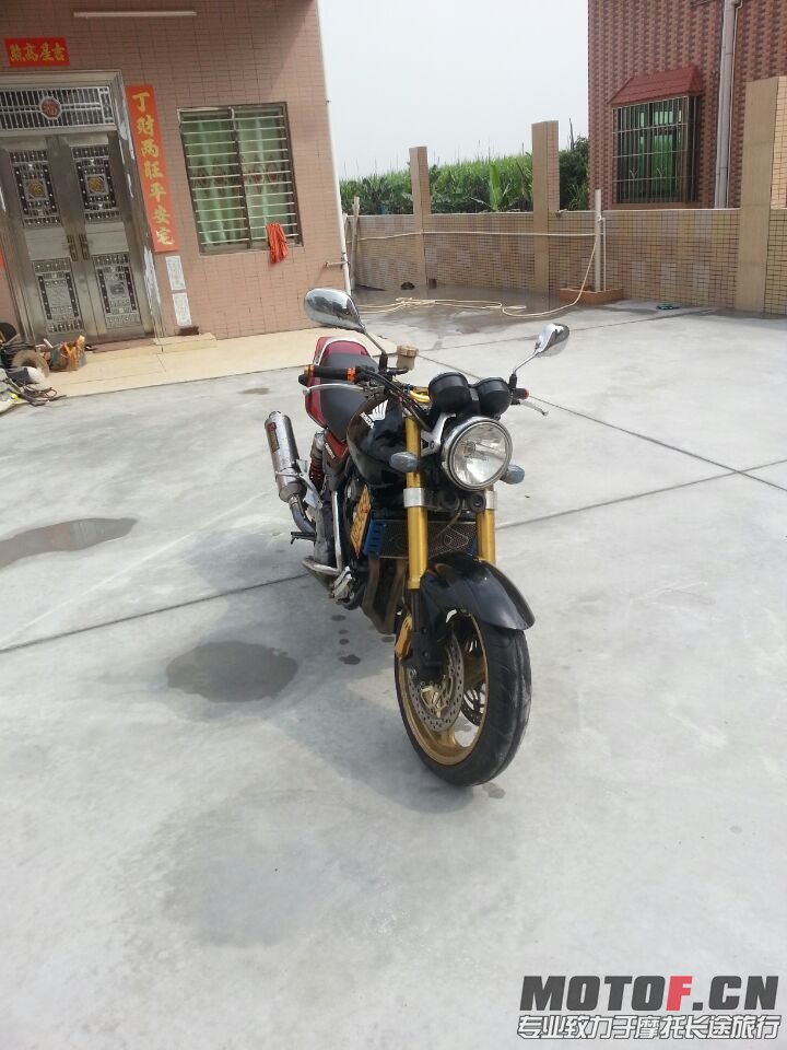 T12.jpg