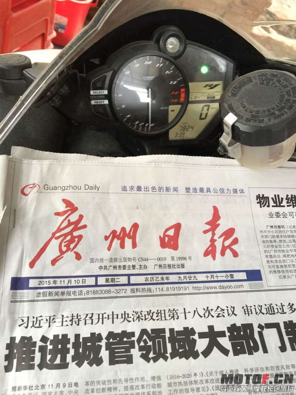 image.jpg