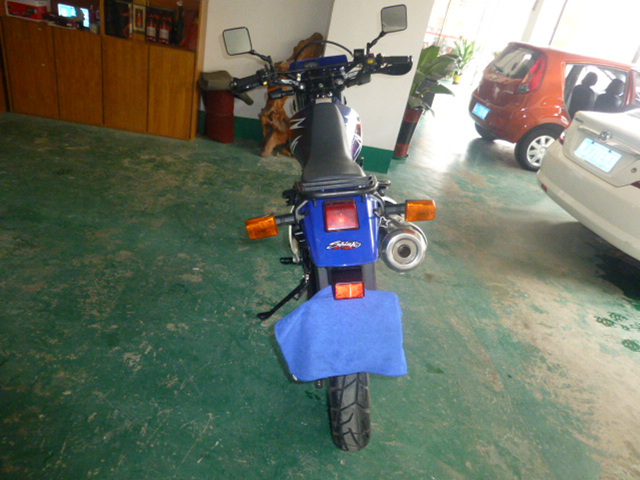 P1040741.jpg