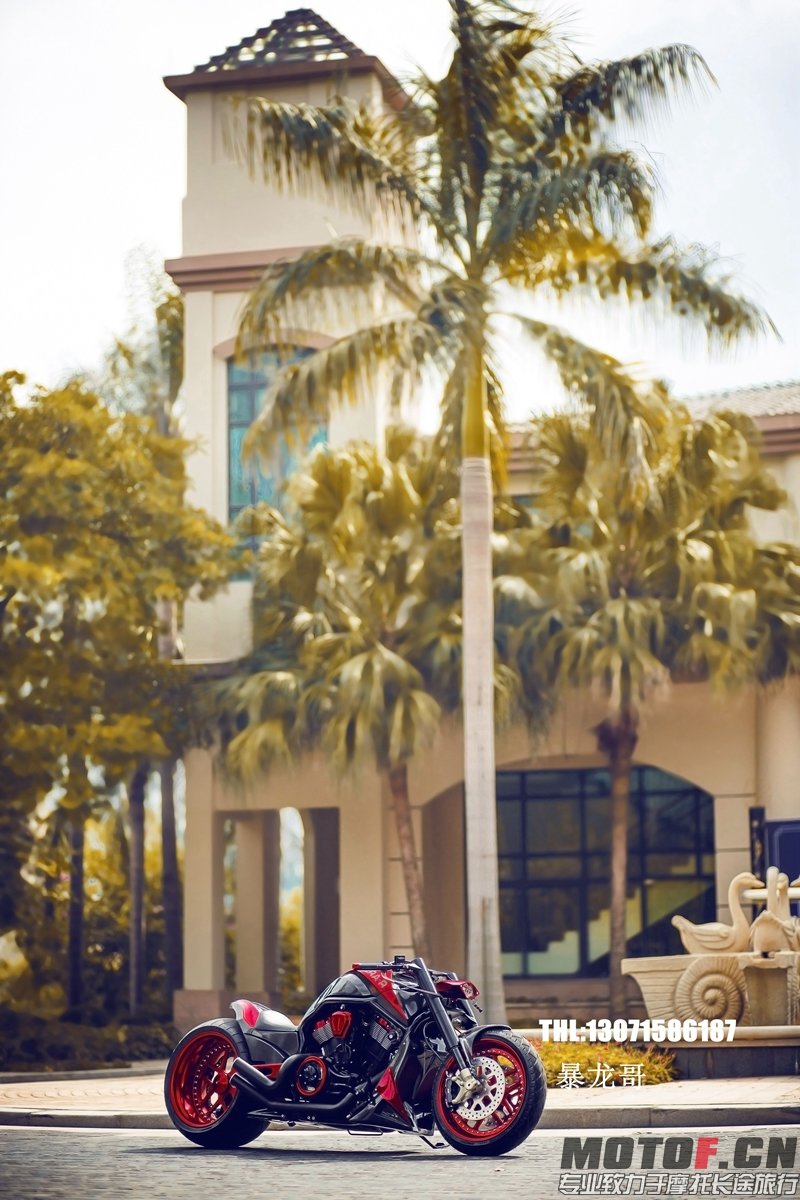 IMG_0474_副本 (2).jpg