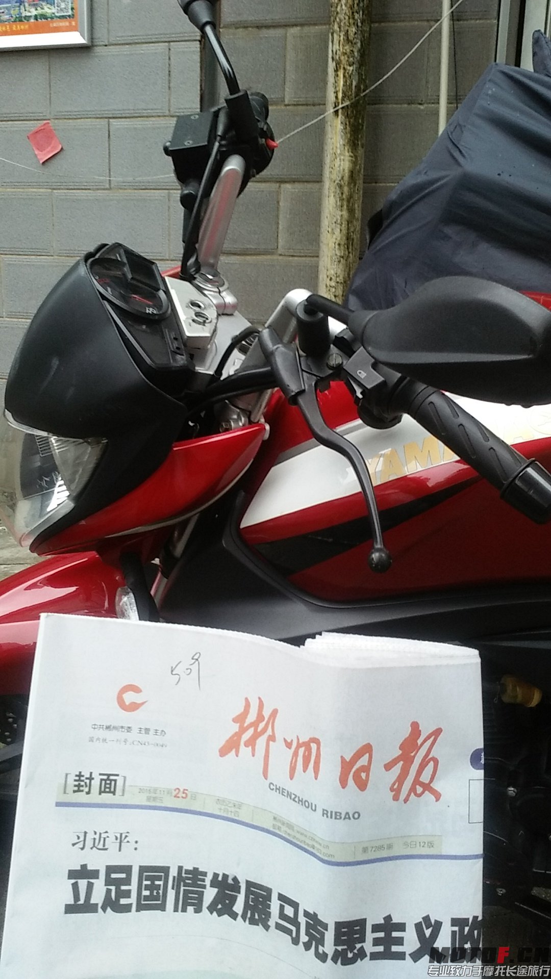 IMG_20151126_095404.jpg