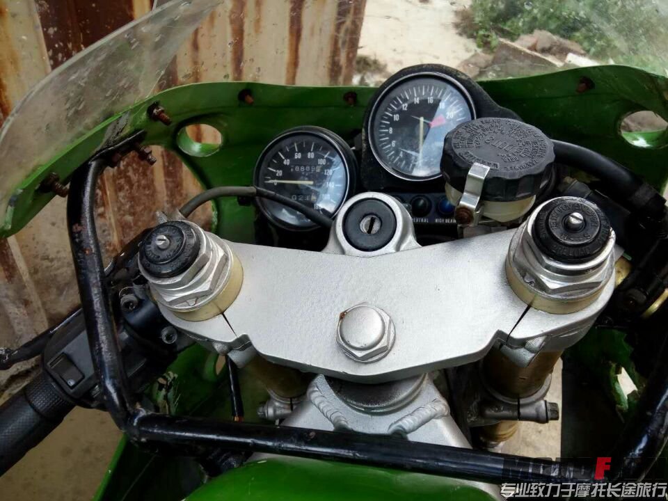 918CAAF1C7AB3A08A73DA3666F592C84.jpg