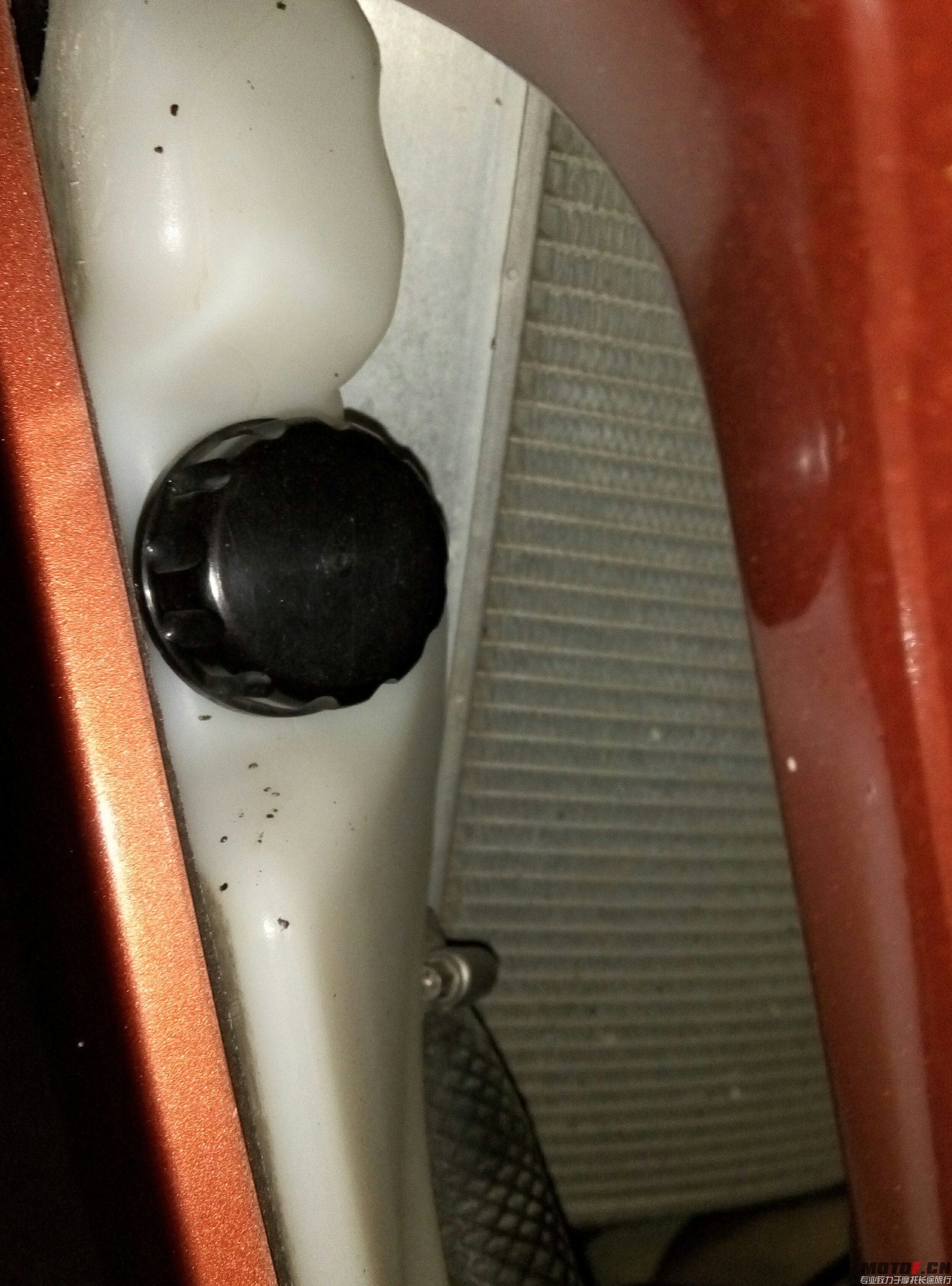 P51208-223448.jpg