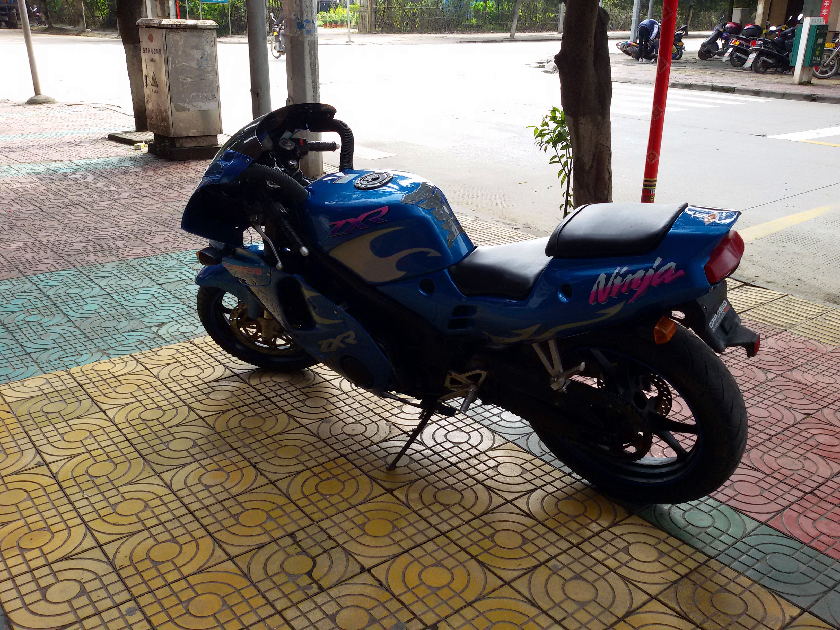 20151210_130107.jpg