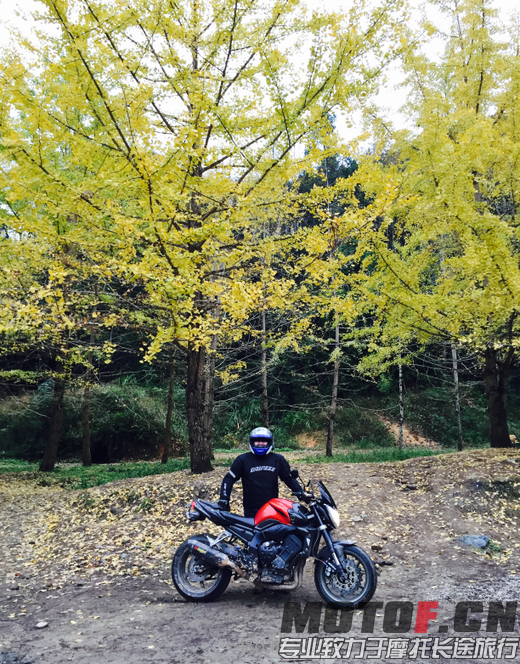 QQ截图20151210222217.png