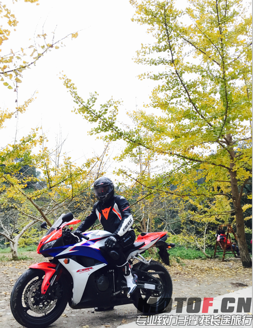 QQ截图20151210222228.png