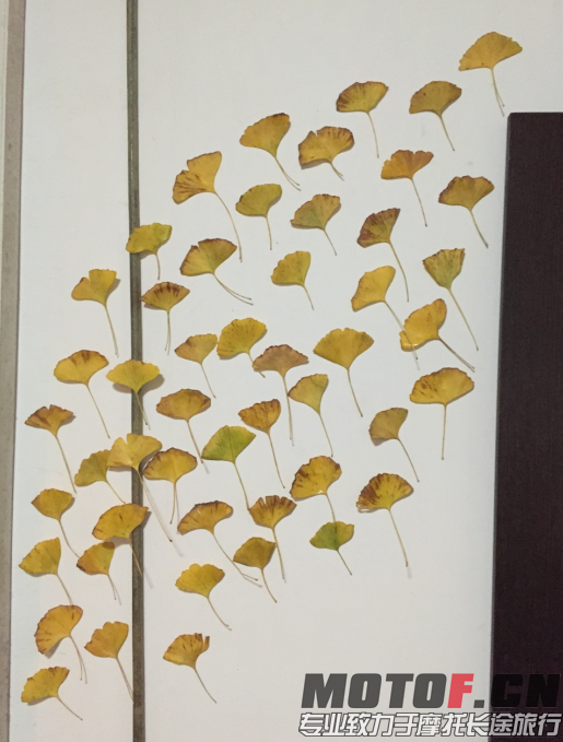 QQ截图20151211000607.png
