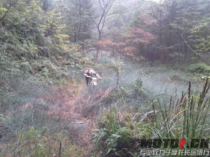 QQ图片20151213011103.jpg