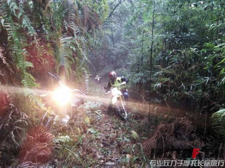 QQ图片20151213011131.jpg
