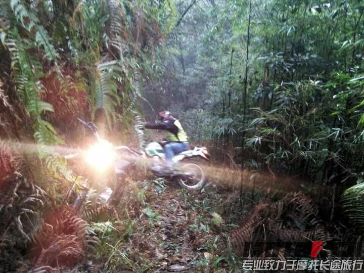 QQ图片20151213011138.jpg