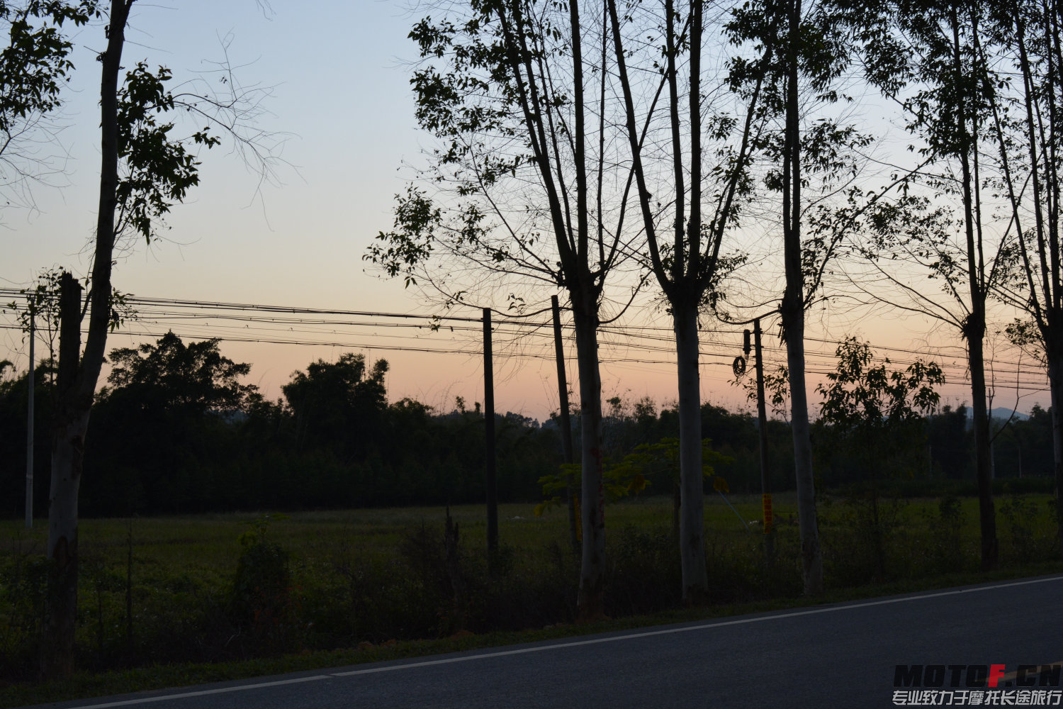 DSC_0075.jpg