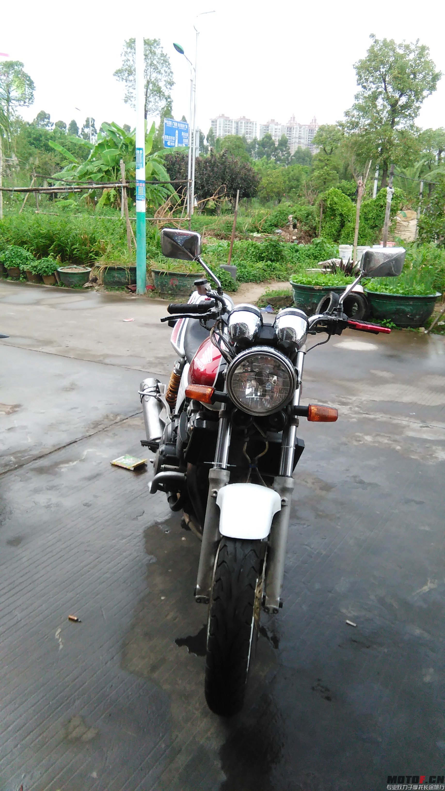 microMsg.1446883450628.jpg