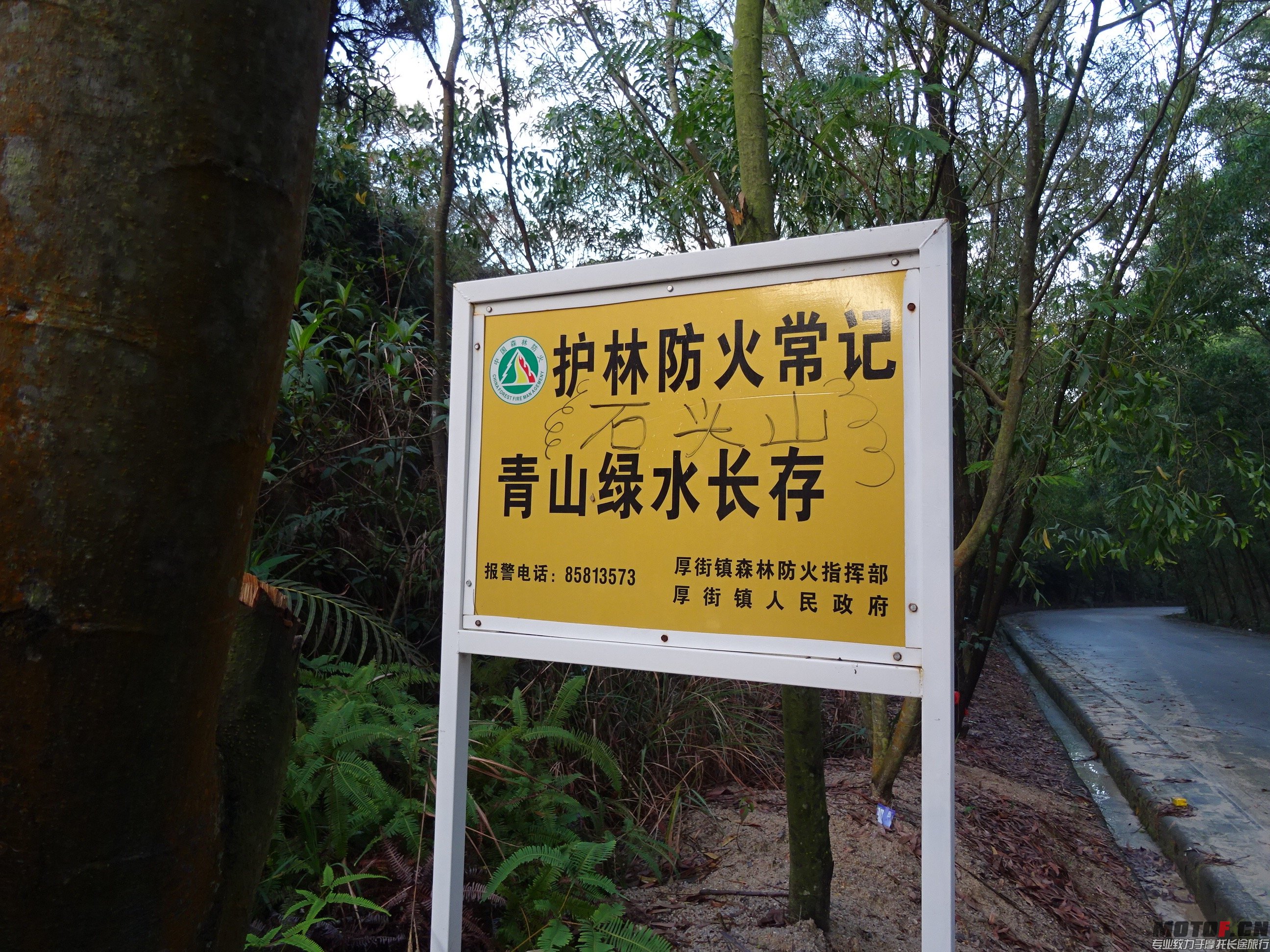 DSC02793.jpg