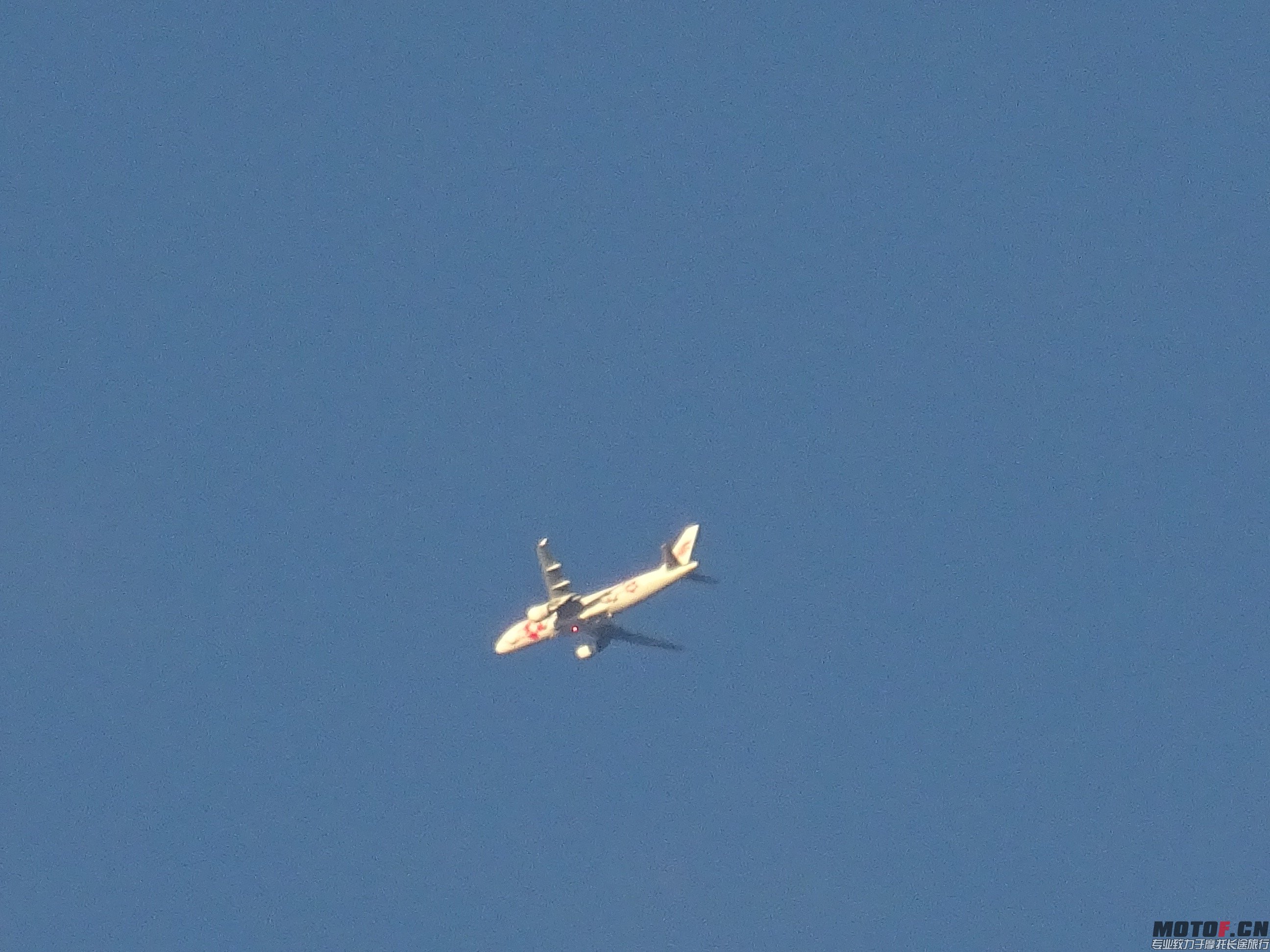 DSC02794.jpg