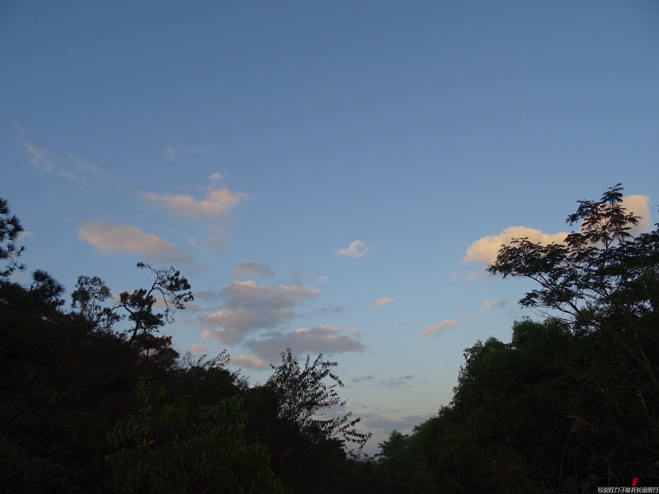 DSC02795.jpg