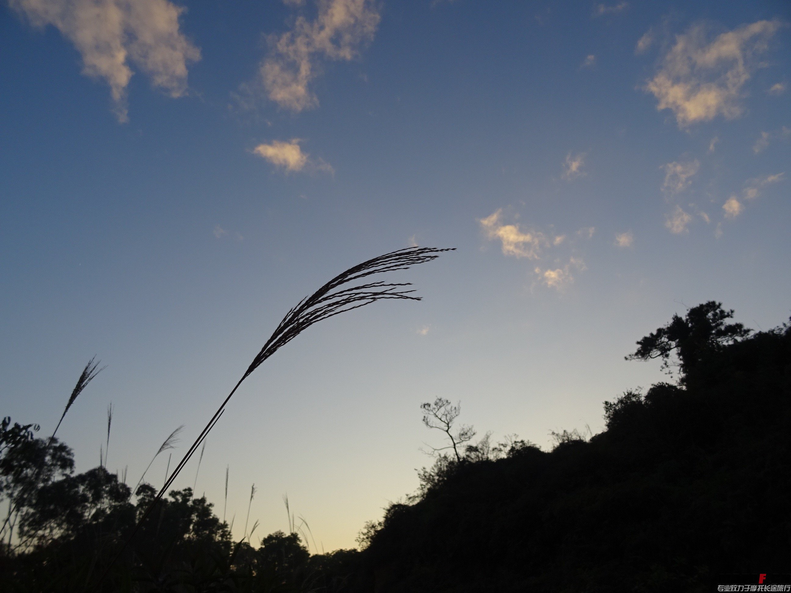 DSC02796.jpg