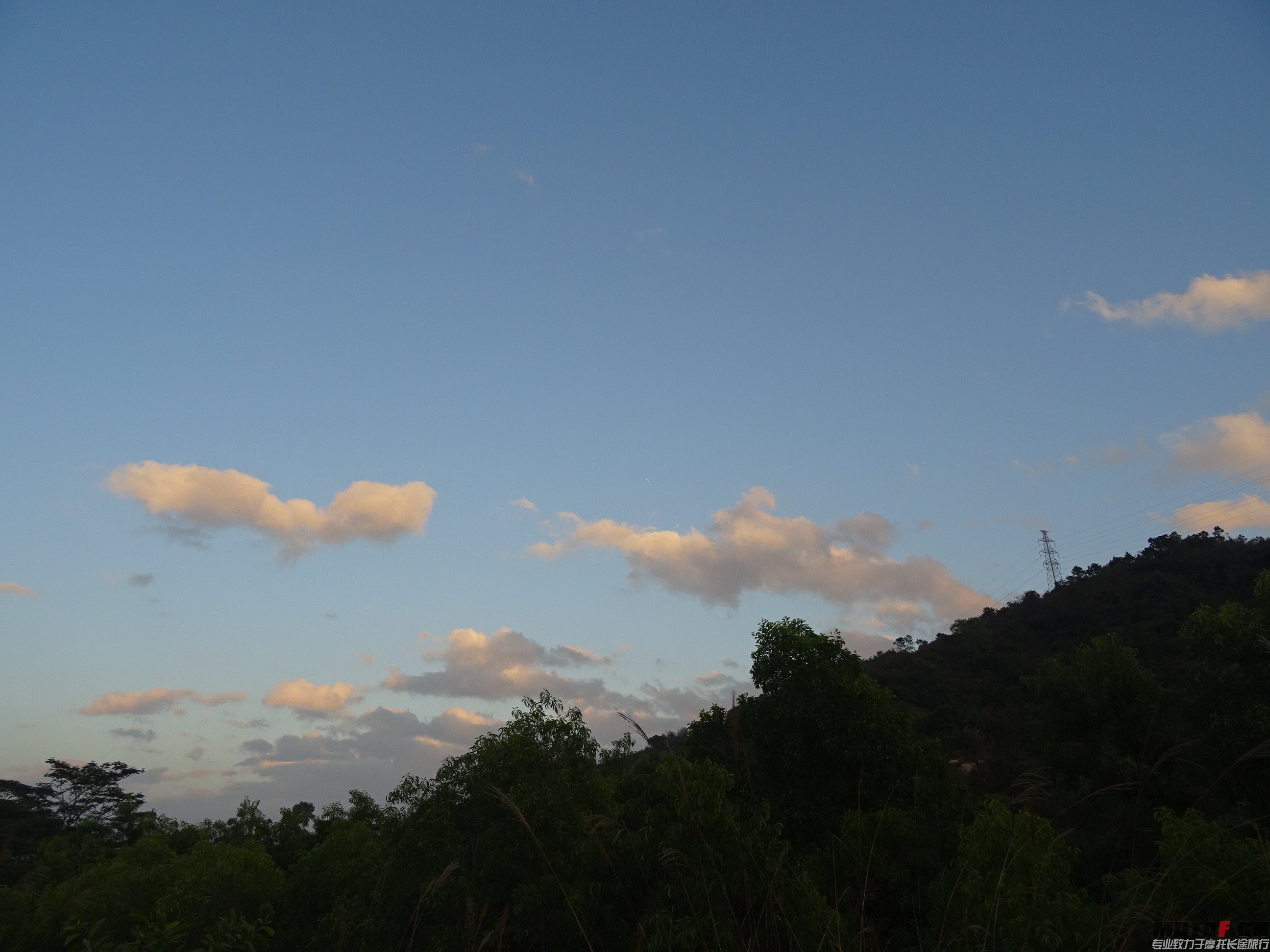 DSC02797.jpg