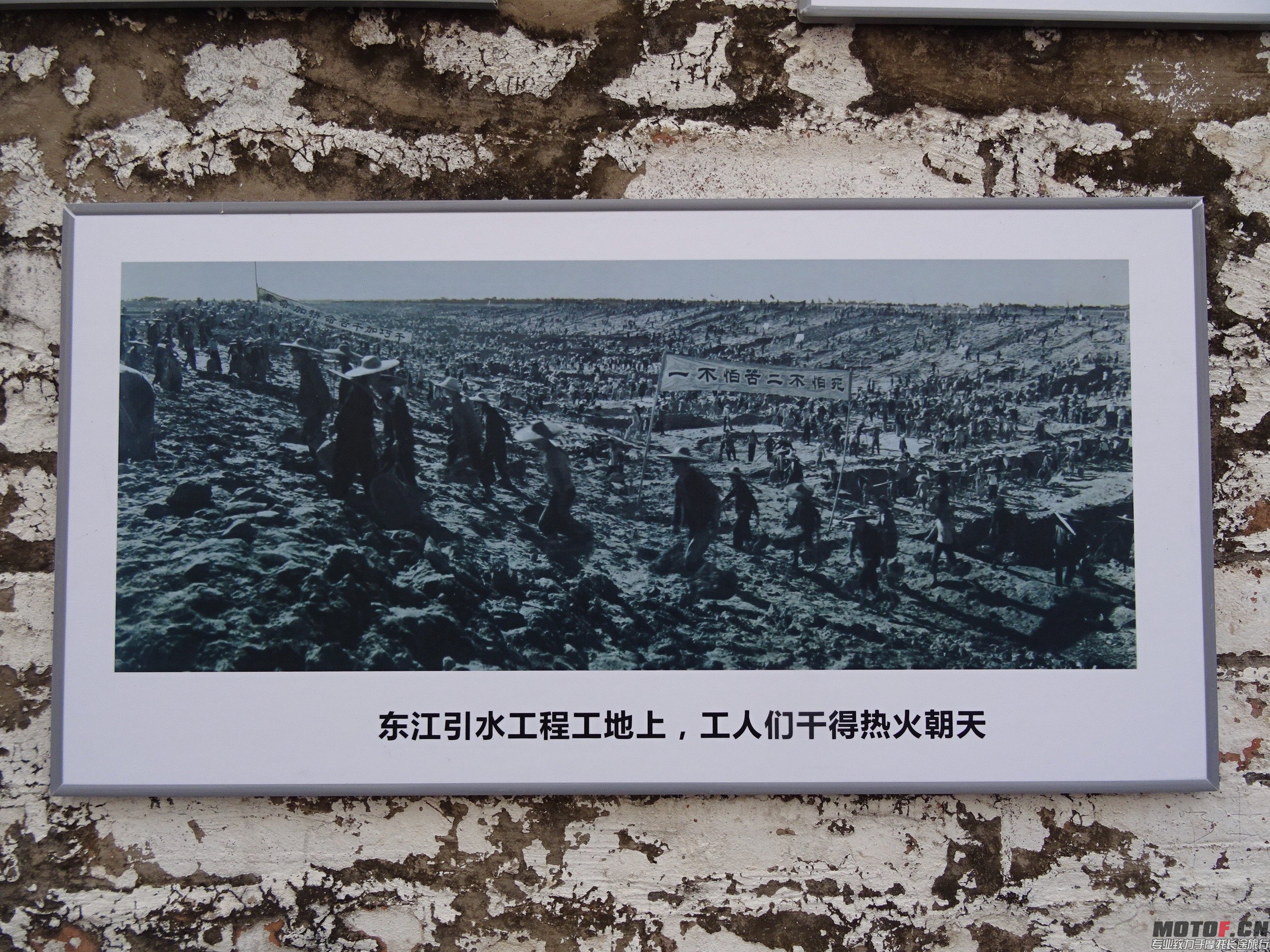 DSC02750.jpg