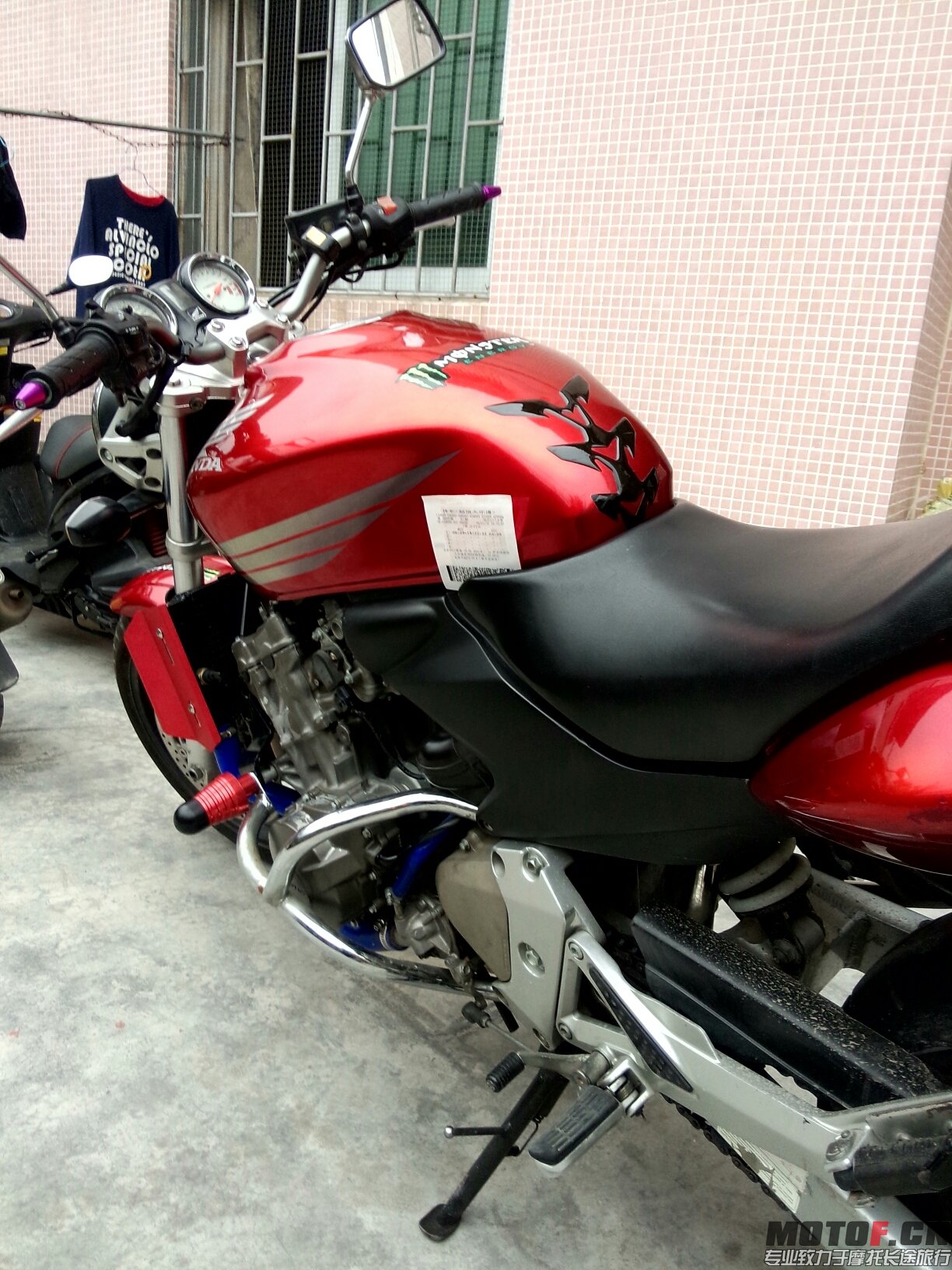 P60110-161712.jpg