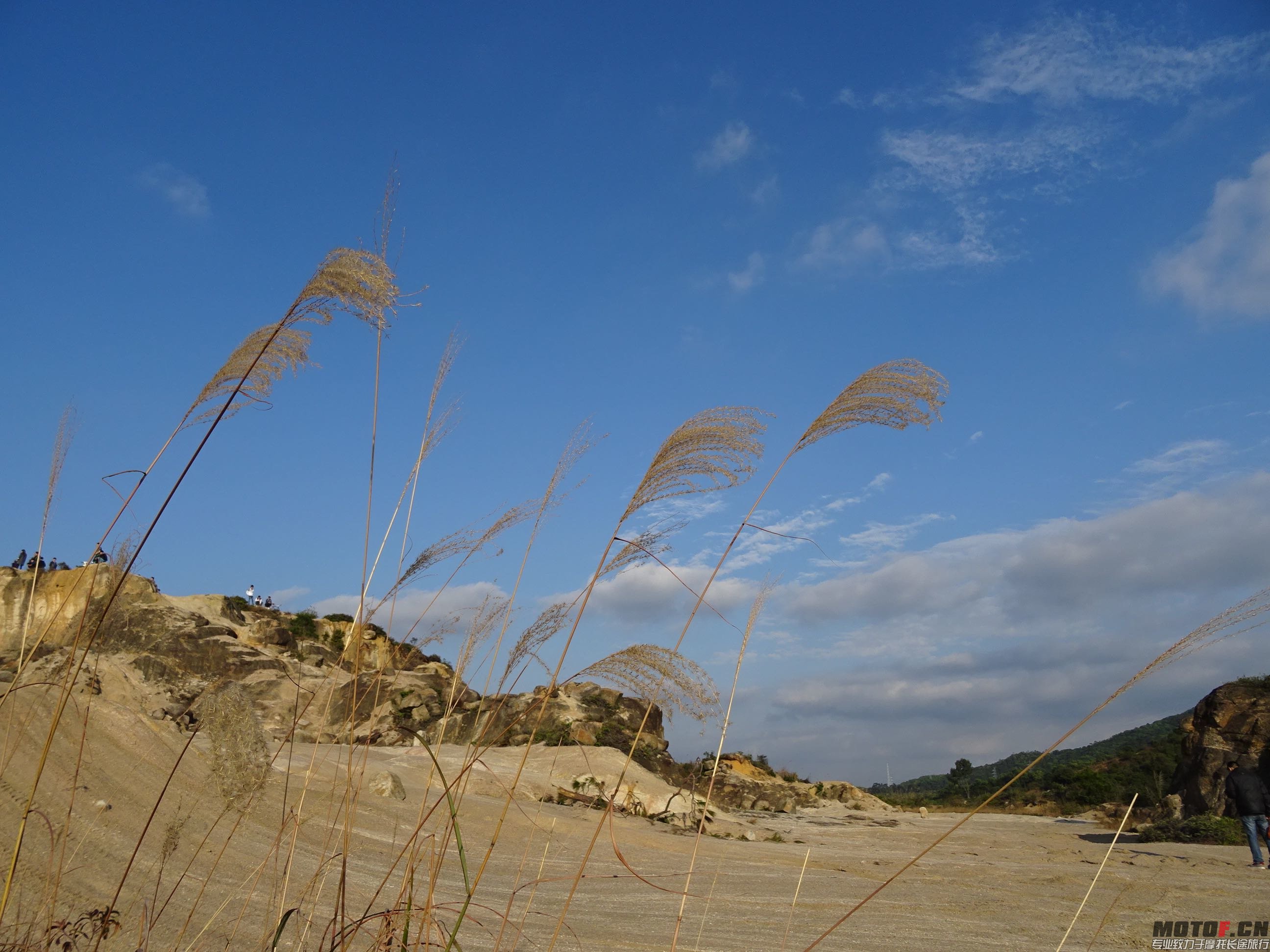 DSC03084.jpg