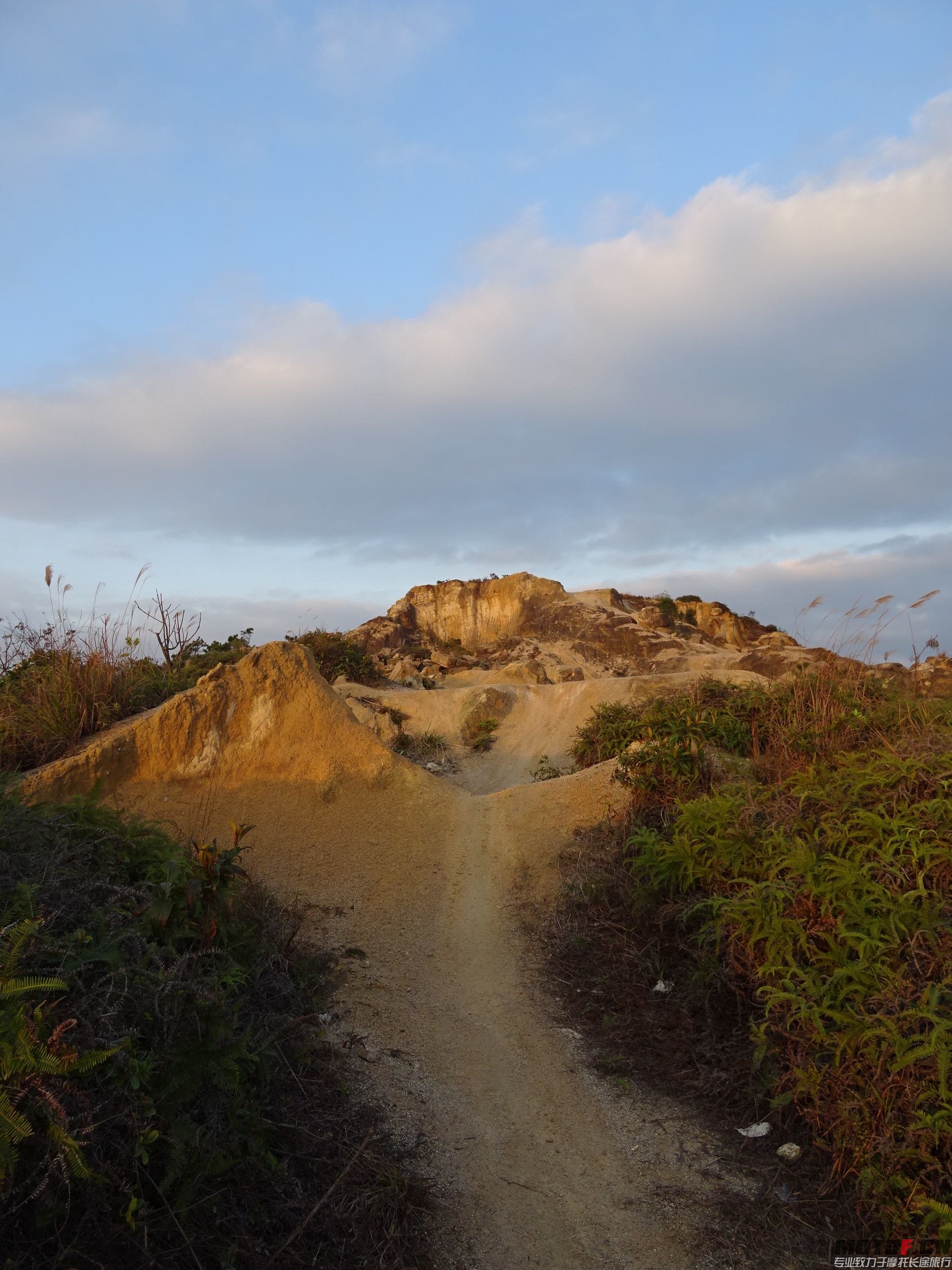 DSC03185.jpg